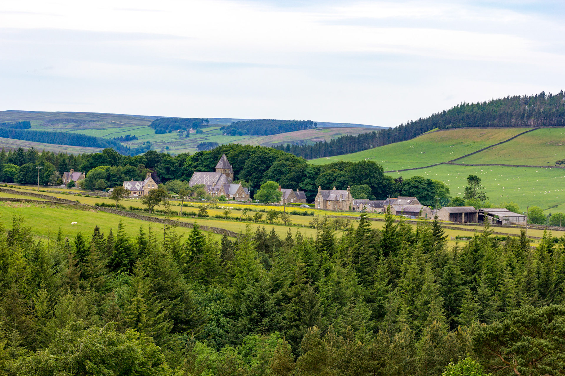 Stanhope MoorPlease see my other Photographs at: www.jamespdeans.co.uk