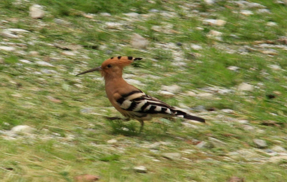 PisaPlease see my other Photographs at: http://www.jamespdeans.co.uk/