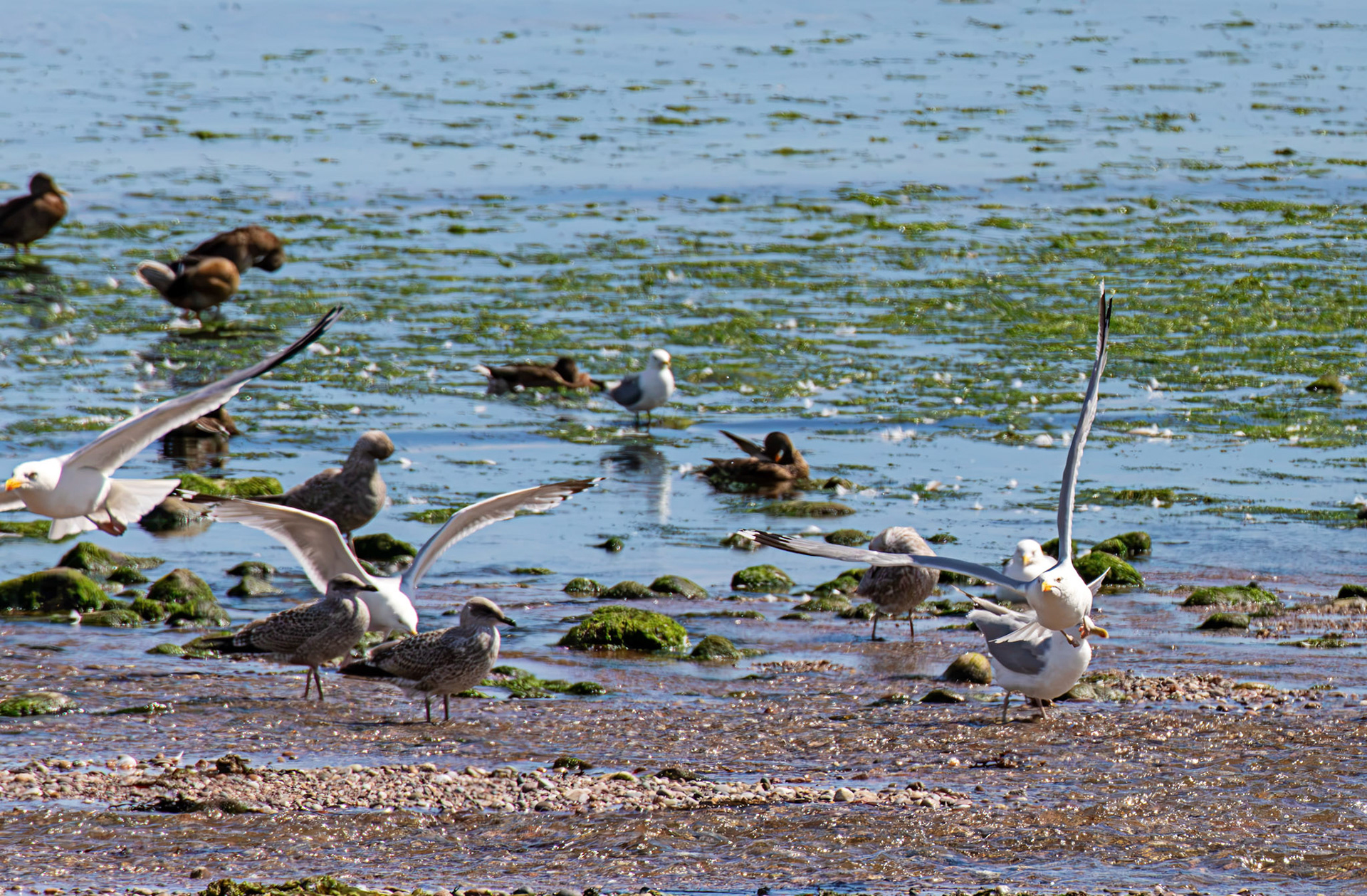 Stonehaven 30 July 2026