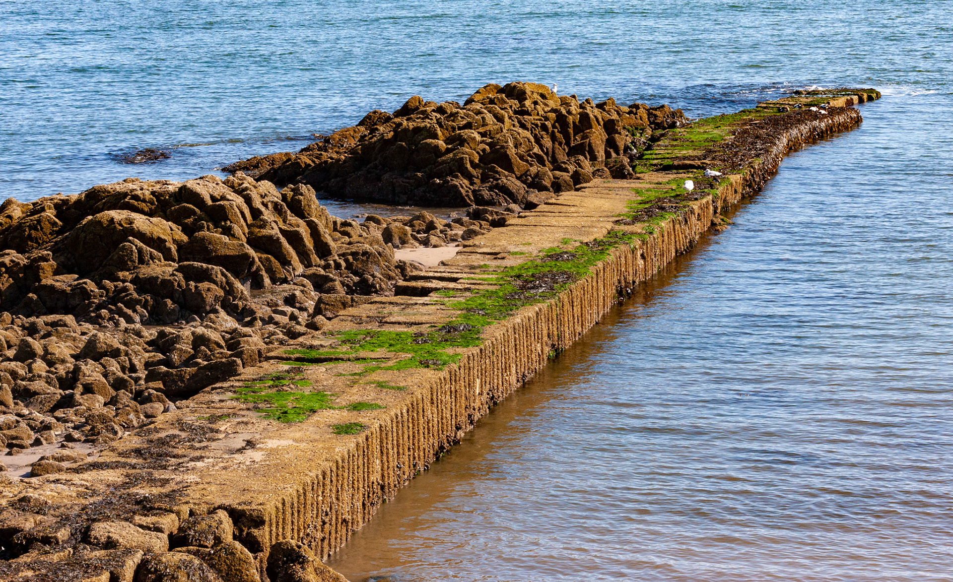 Pettycur Harbour - Kinghorn, Fife