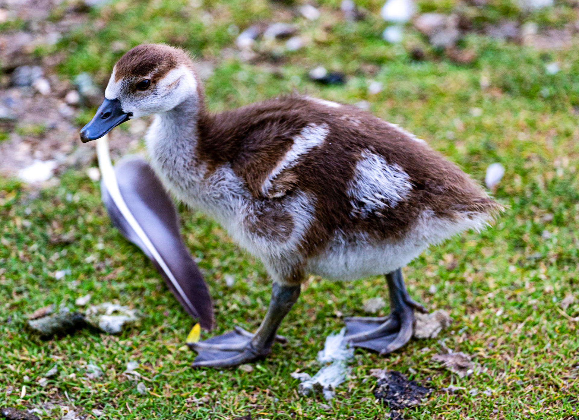 Reading 07 June 2024