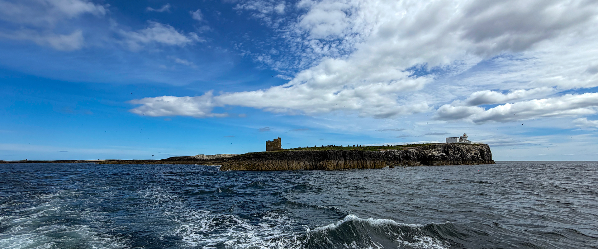 Farne Lighthouse - Farne Islands 03 July 2026