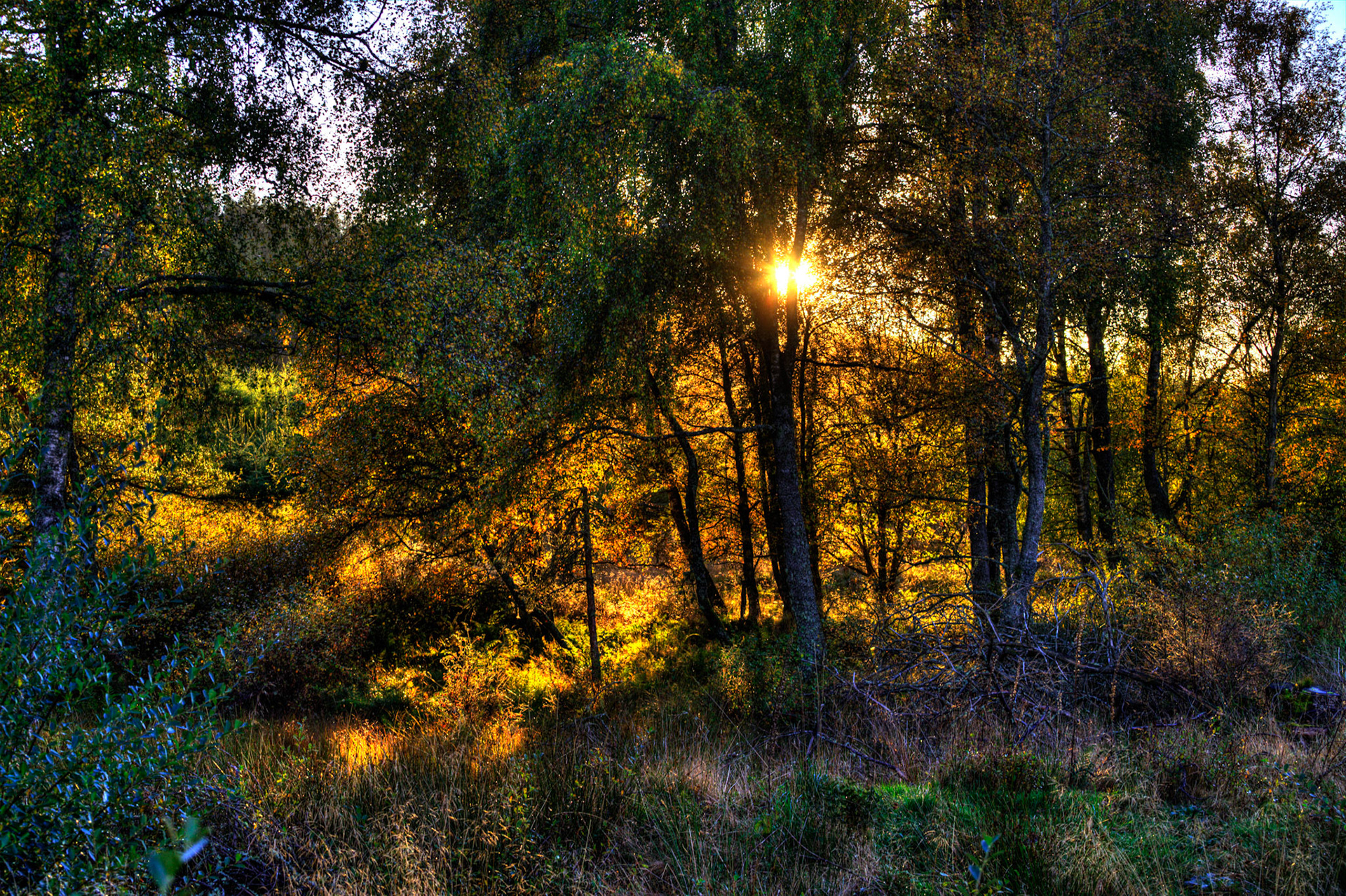 Autumn in Aberdeenshire 14 to 16 October 2022