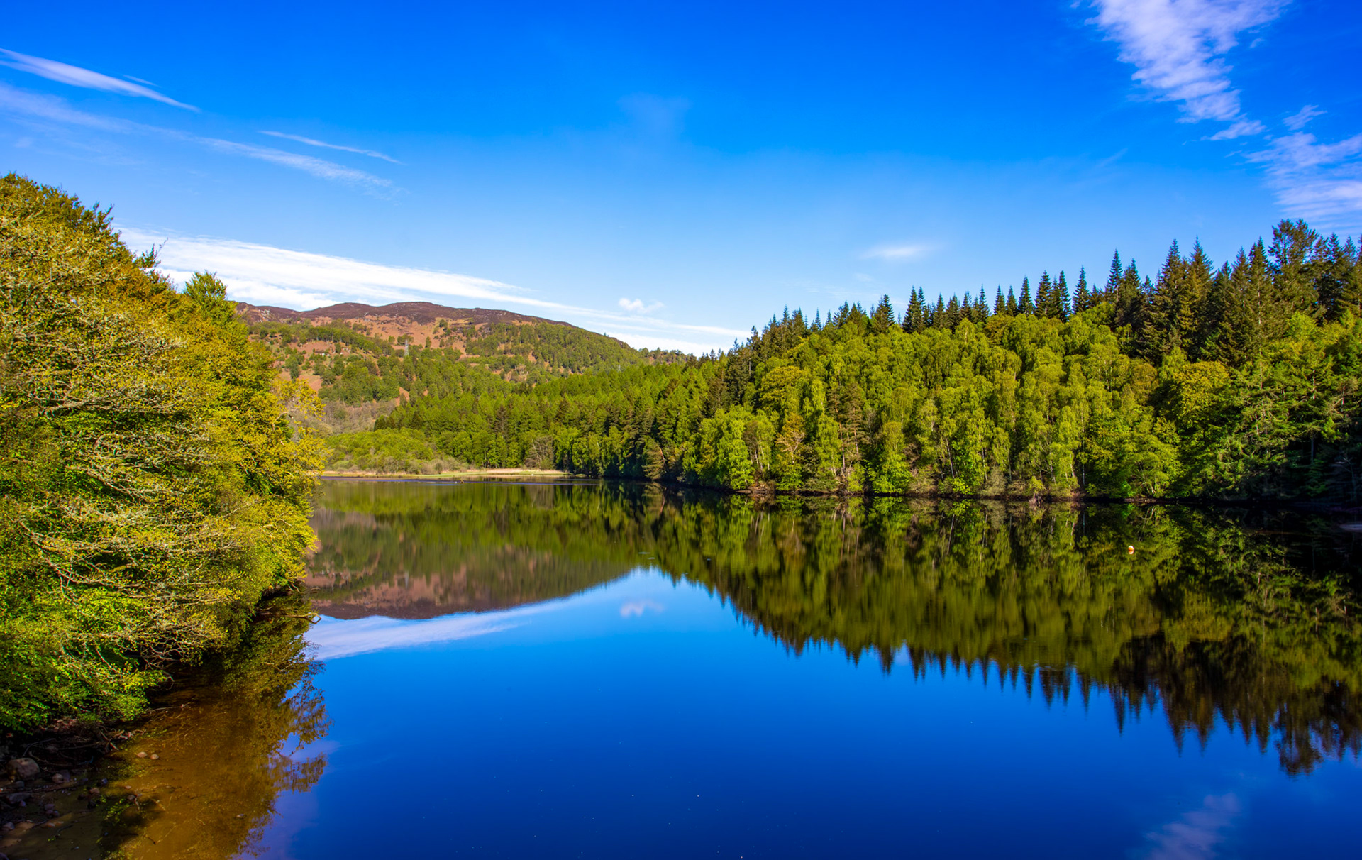 Loch Faskally - View from Clunie Bridge 16 May 2026 15.jpg