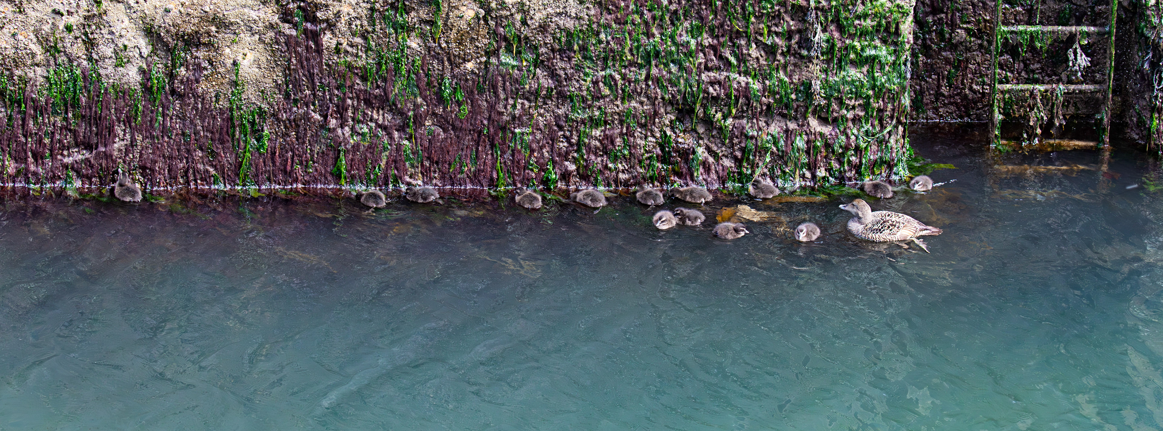 Kirkcaldy Harbour 23 May 2026