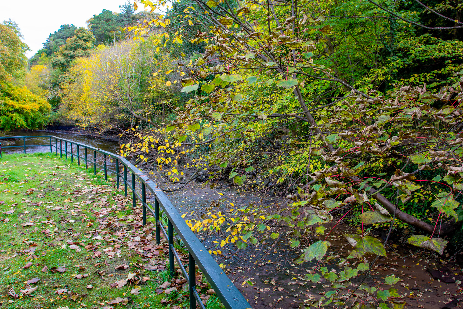 Cramond 18 October 2024