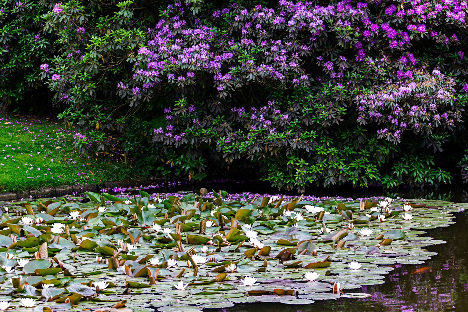 Little Moreton Hall  17 June 2023