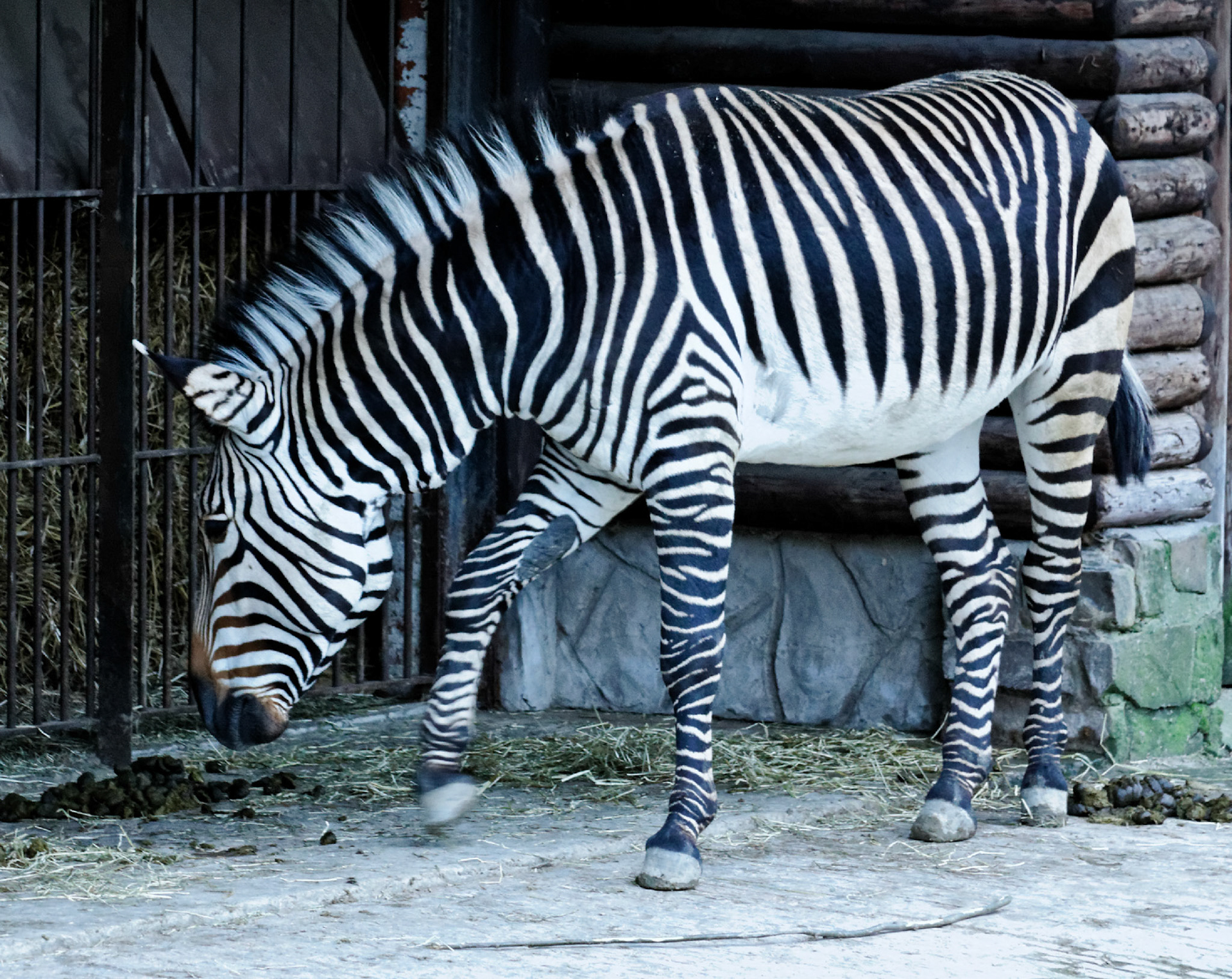 AntwerpPlease see my other Photographs at: http://www.jamespdeans.co.uk/