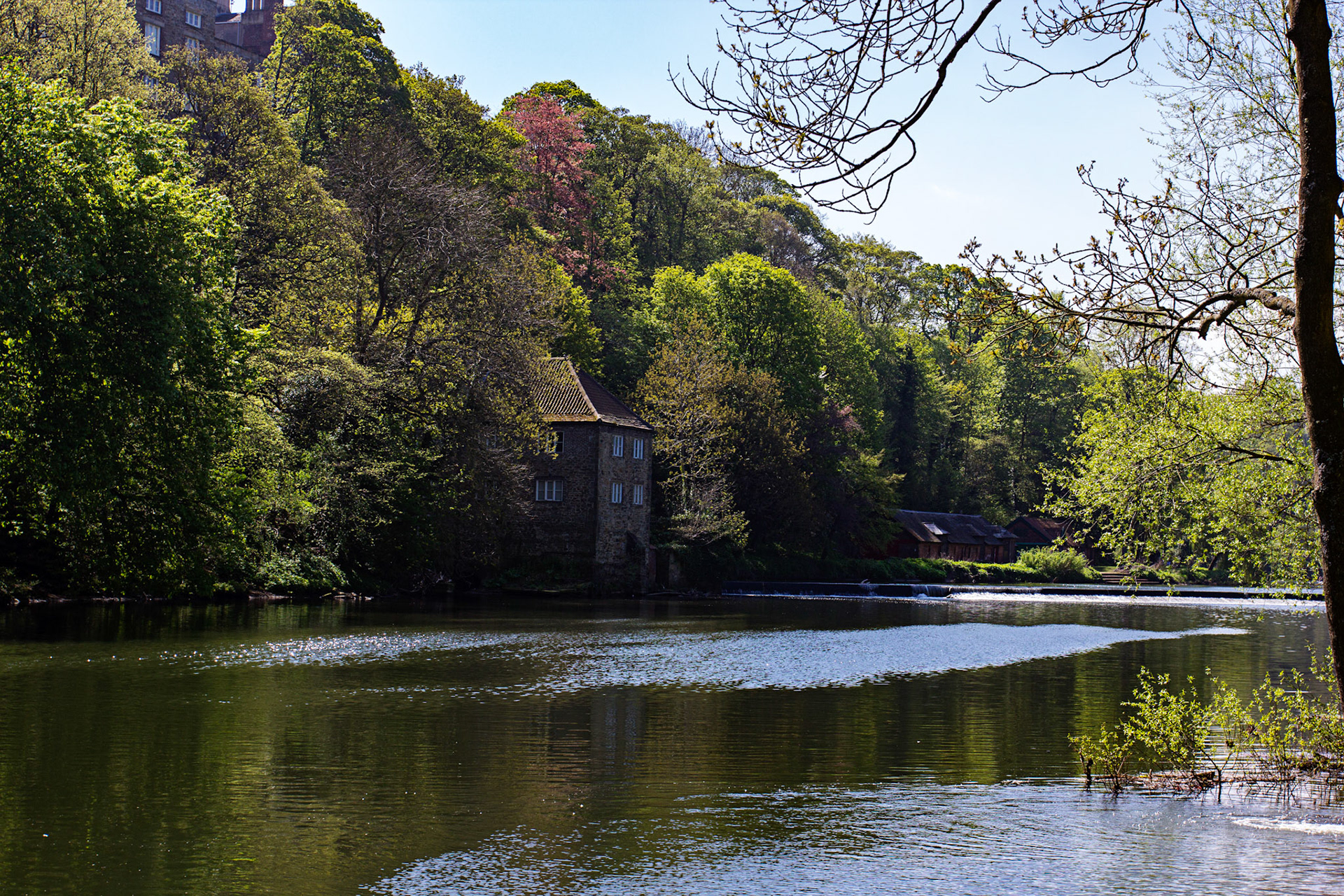 Durham 04 to  07 May 2018Please see my other Photographs at: www.jamespdeans.co.uk