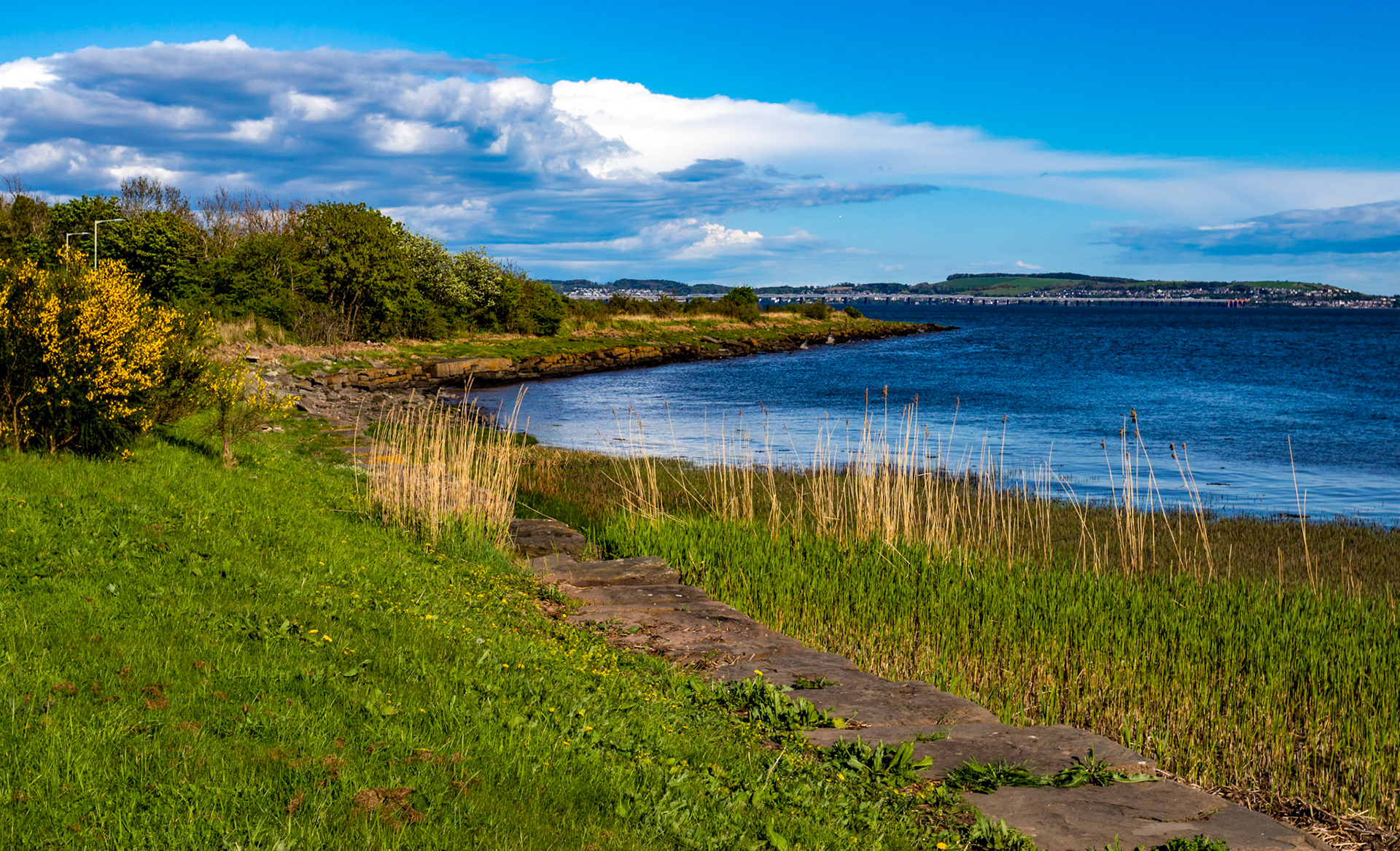 Kingoodie - near Dundee 04 May 2022