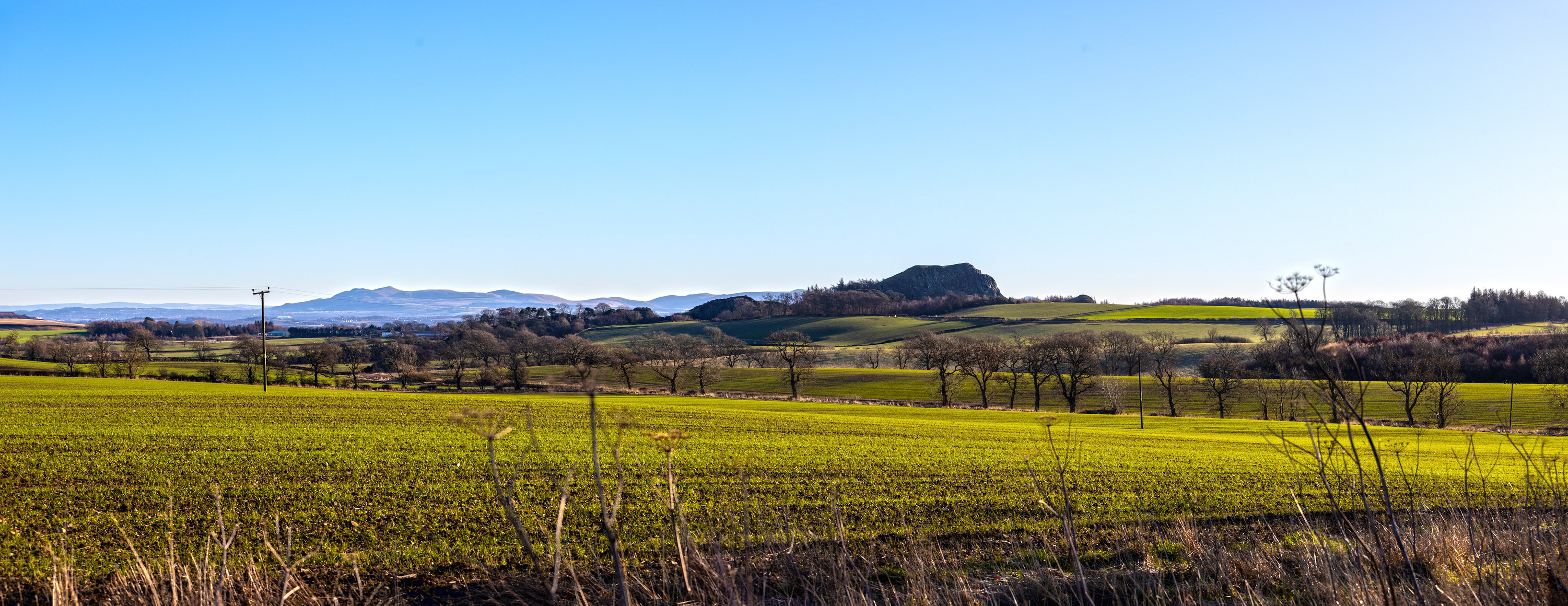 Binny Craig 17 January 2024