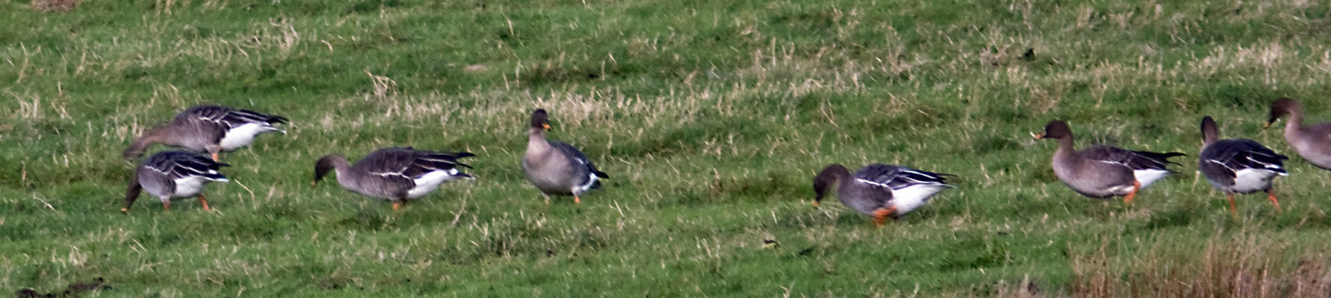 SlammananPlease see my other Photographs at: http://www.jamespdeans.co.uk/