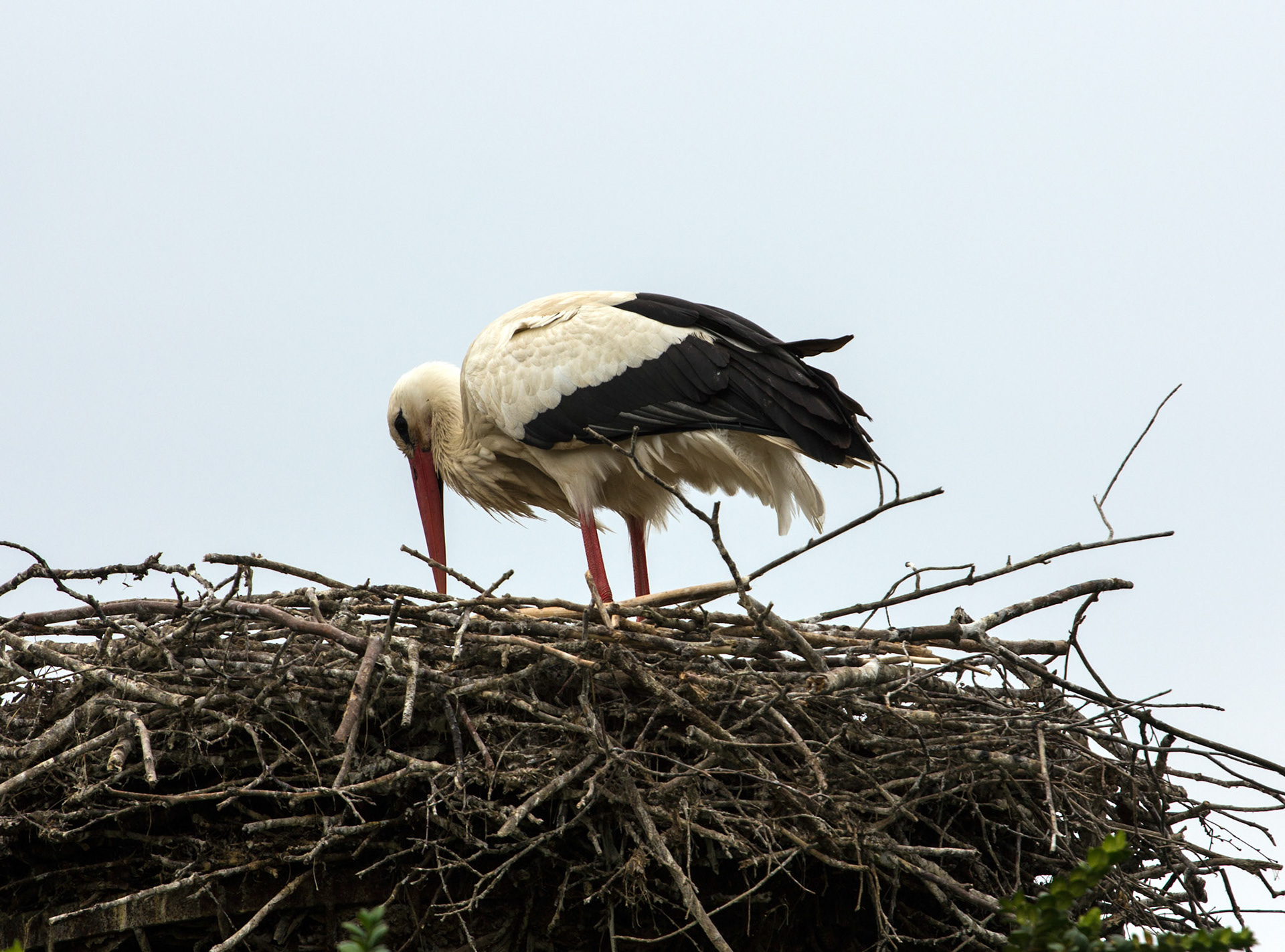 CernayPlease see my other Photographs at: http://www.jamespdeans.co.uk/