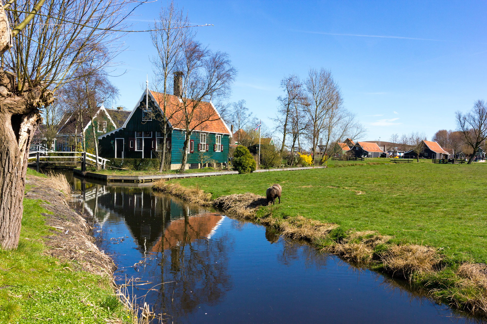 Zaanse Schans in North HollandPlease see my other Photographs at: www.jamespdeans.co.uk