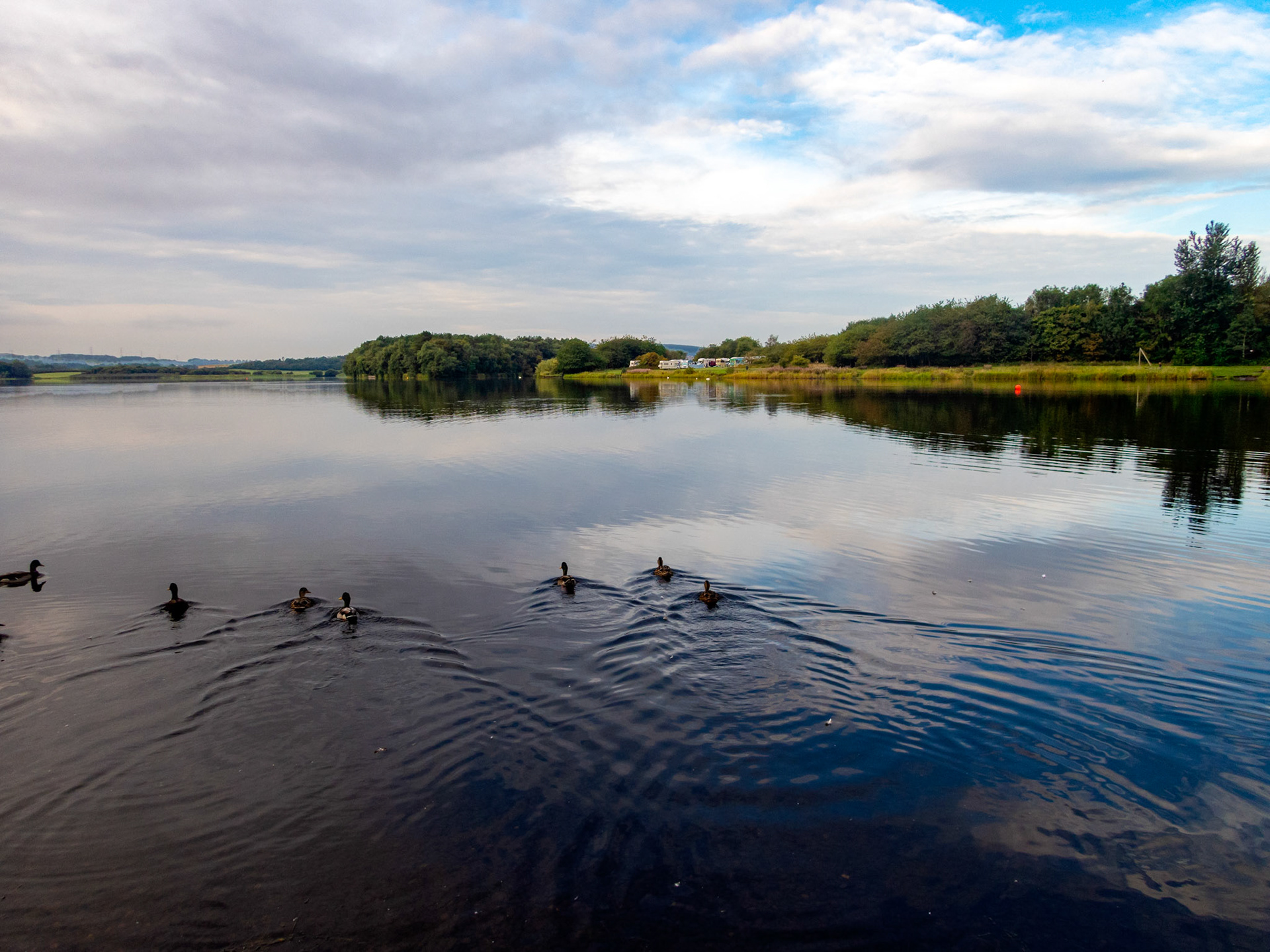 Swim at Lochore Meadows 28 Augist 2022