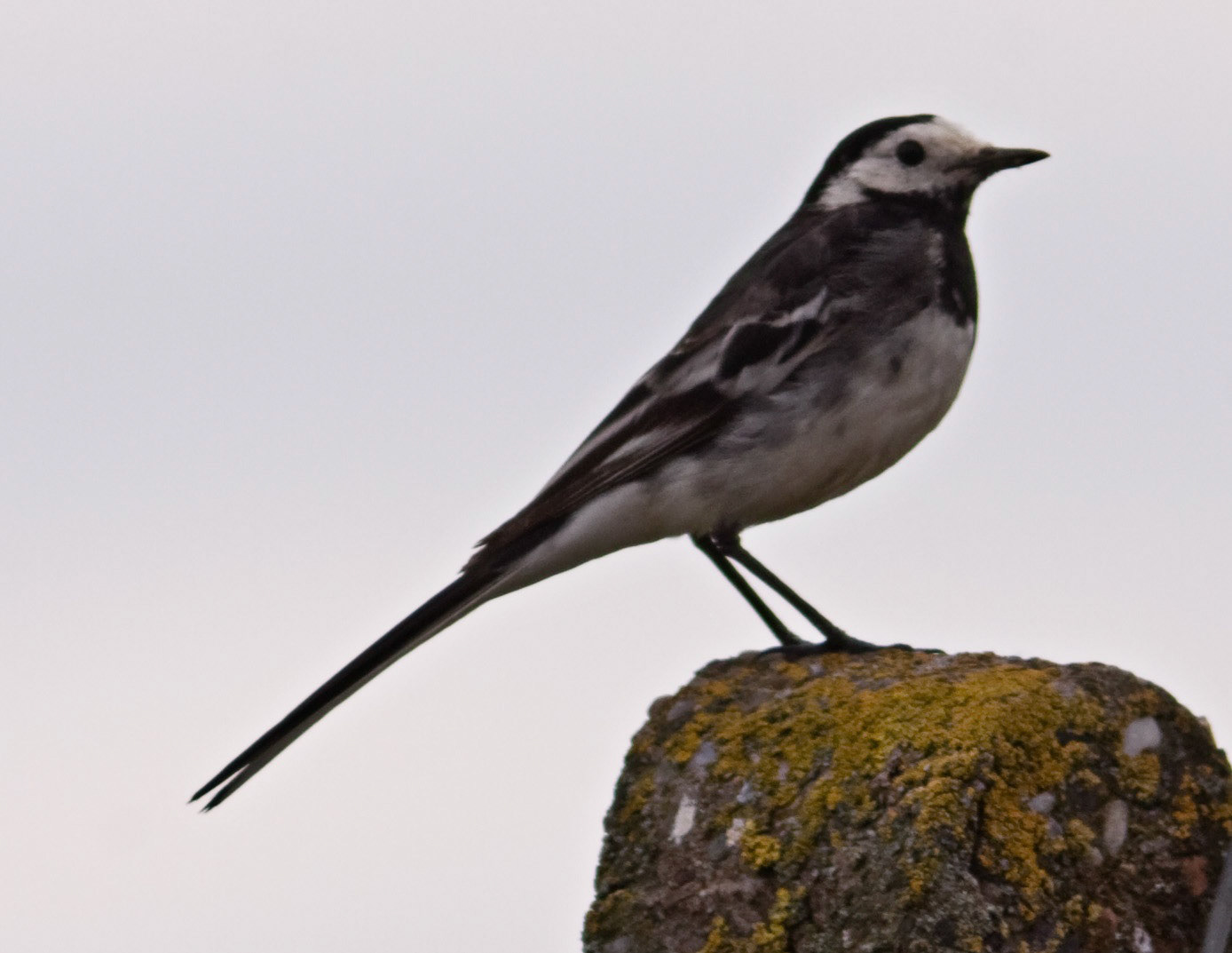 ArbroathPlease see my other Photographs at: http://www.jamespdeans.co.uk/