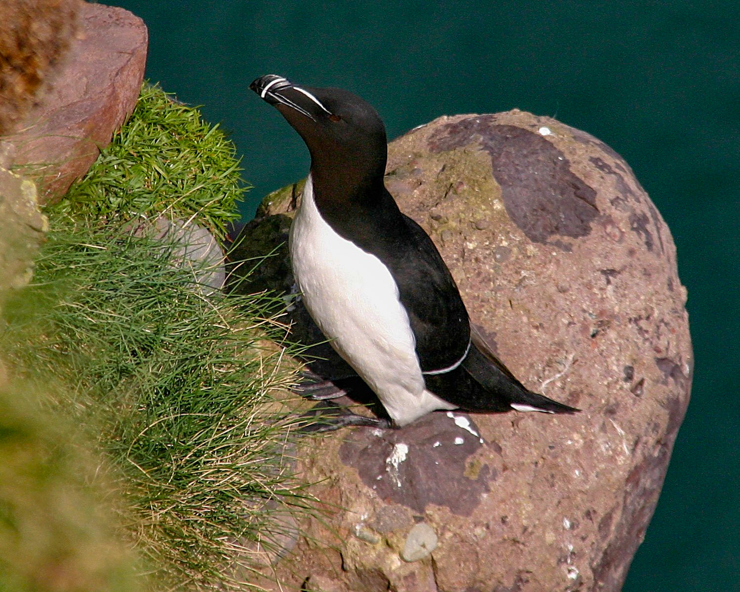 StonehavenPlease see my other Photographs at: http://www.jamespdeans.co.uk/