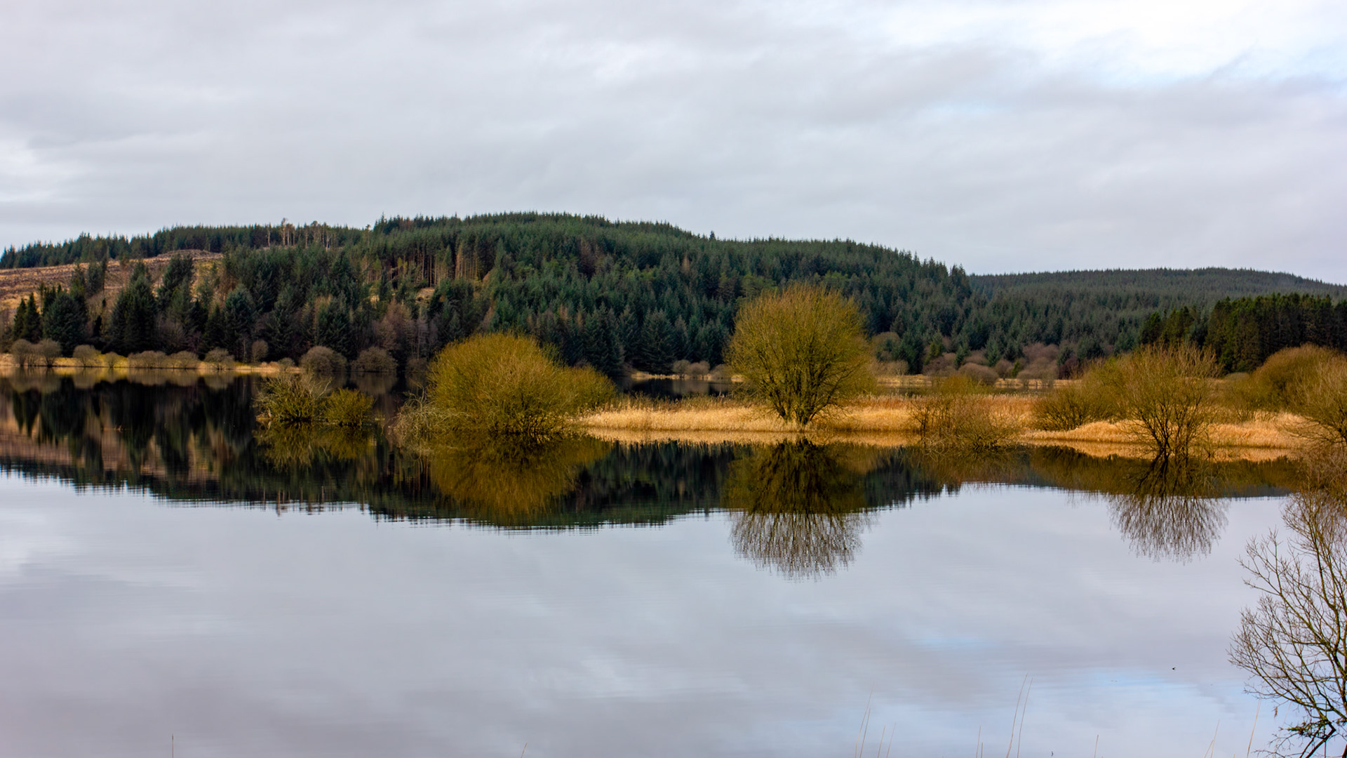 Carron Valley Reservoir 28 February 2026