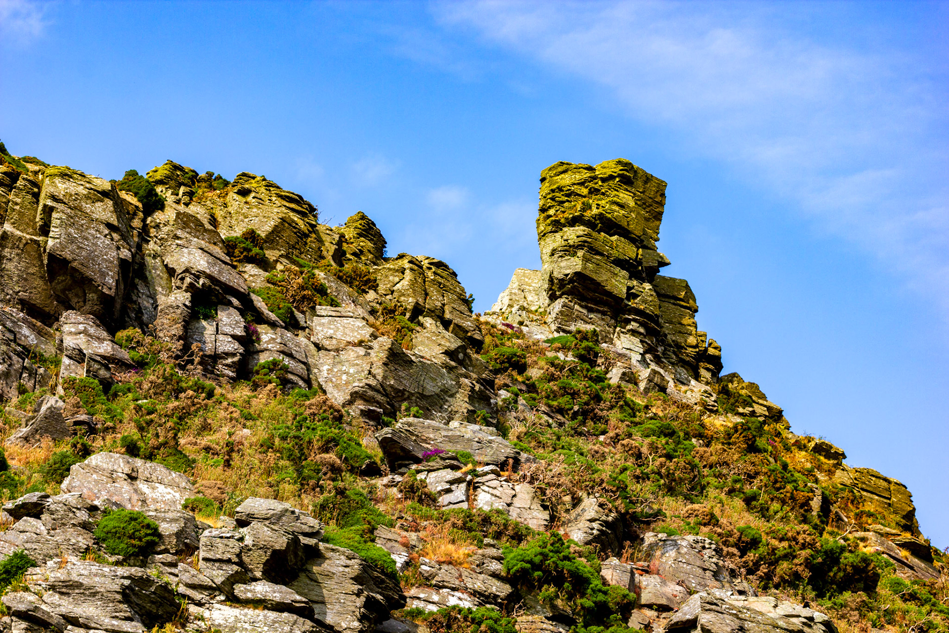 Valley of the Rocks, Lynton 26 June 2023
