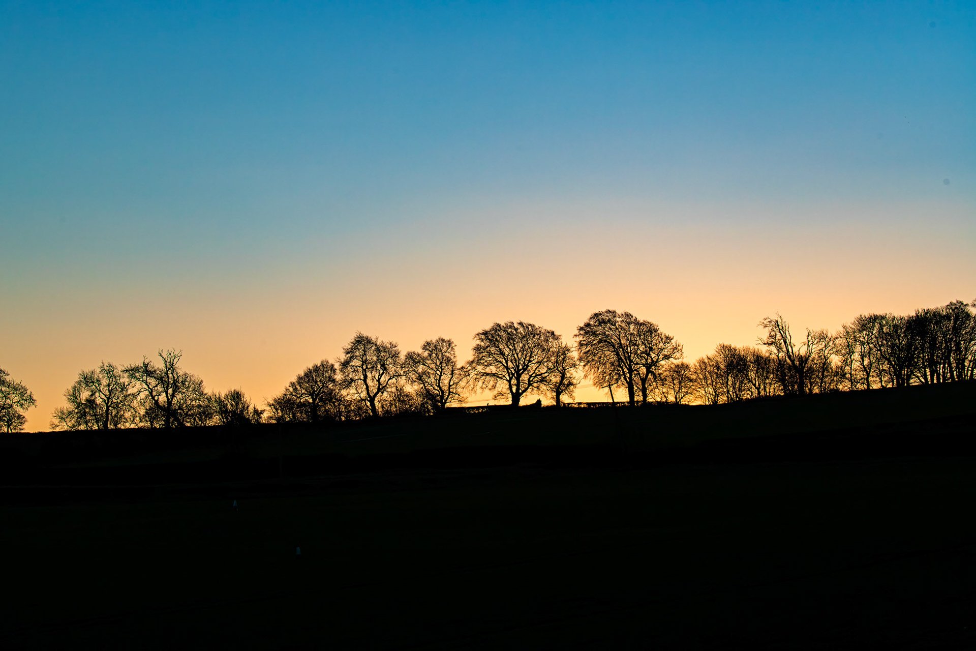 Bathgate Hills 08 January 2025