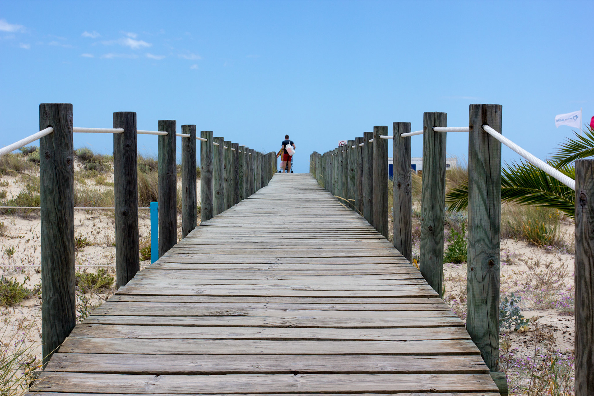 On Tavira Island - Praia do Barril - a walkway over the dunes. Please see my Photographs of Portugal at: http://www.jamespdeans.co.uk/p116503744