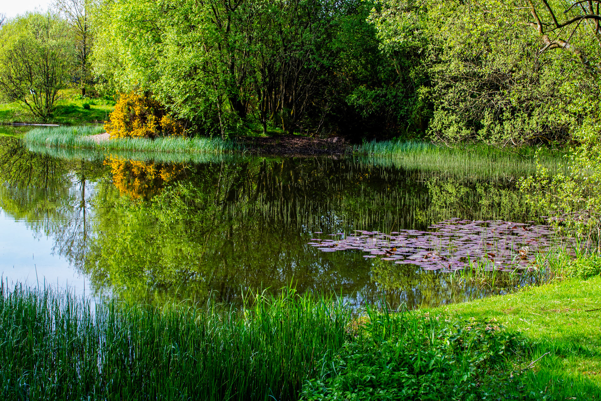 Kinross Fishery 11 May 2024