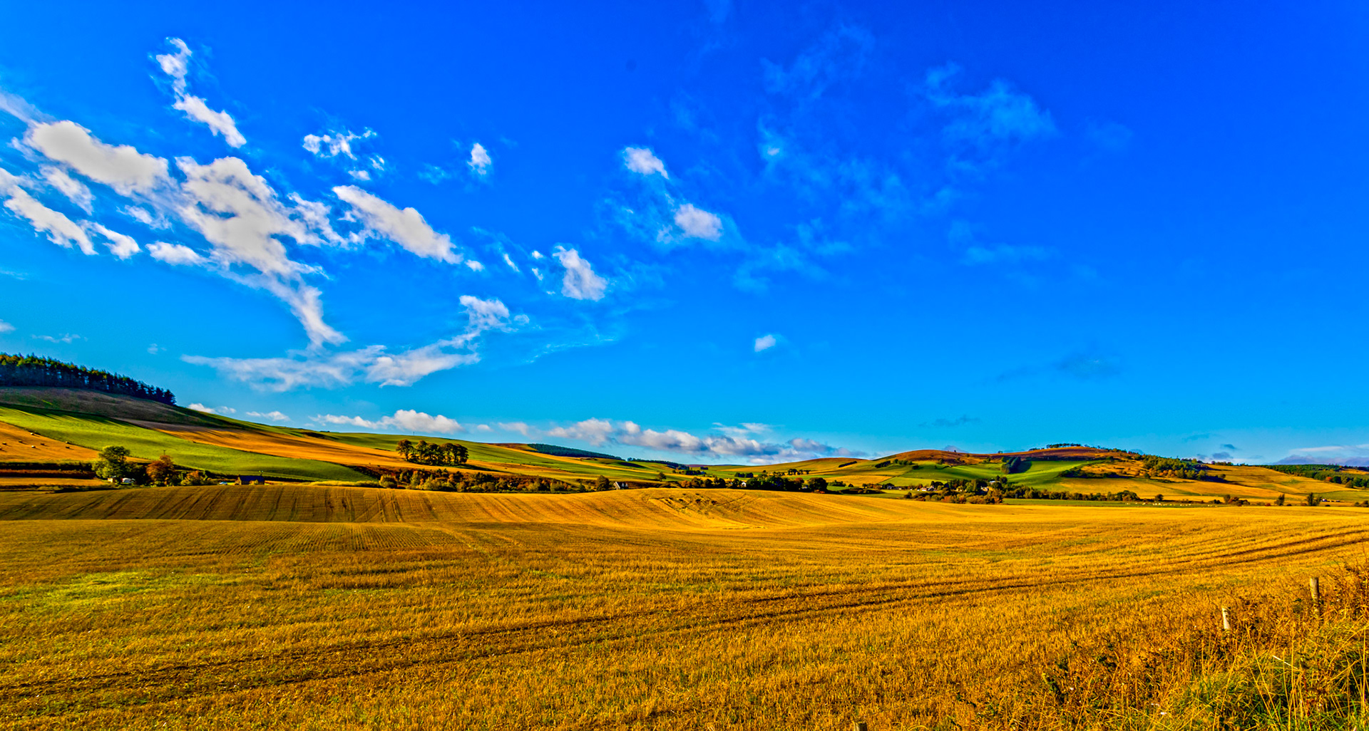 Autumn in Aberdeenshire 14 to 16 October 2022
