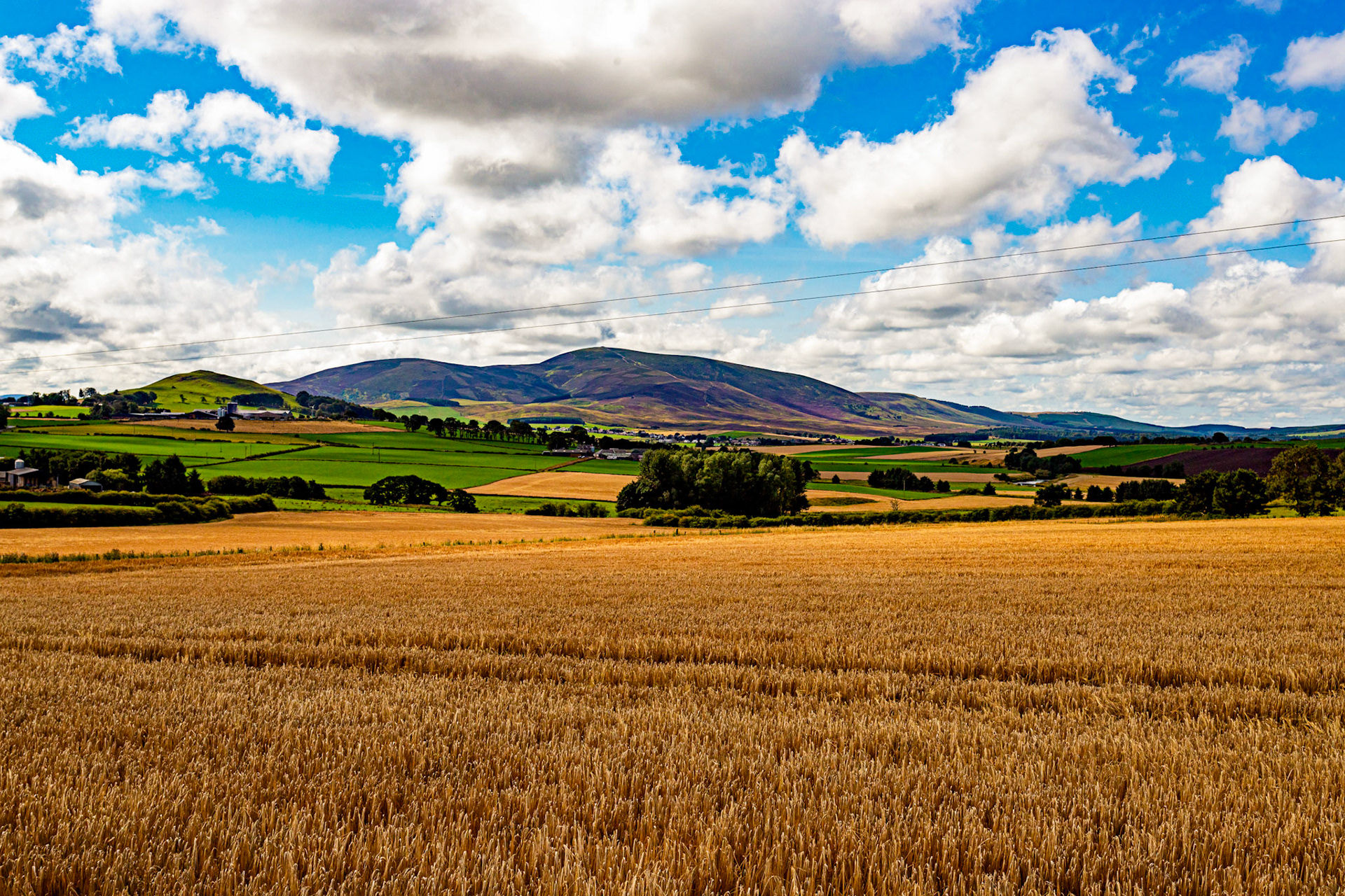 Tinto viewed from Libberton School 27 August 2022