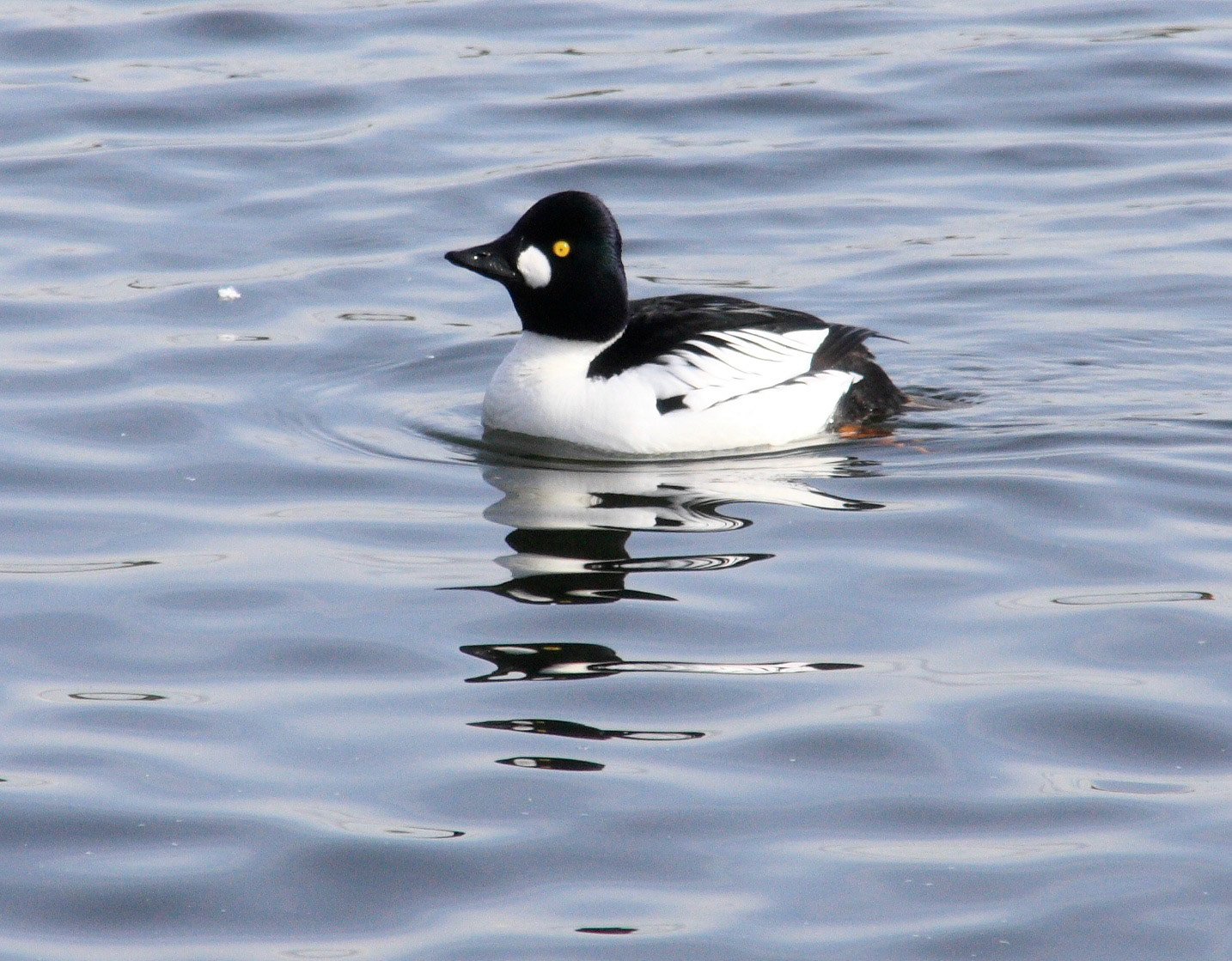 Hugganfield Loch Please see my other Photographs at: http://www.jamespdeans.co.uk/