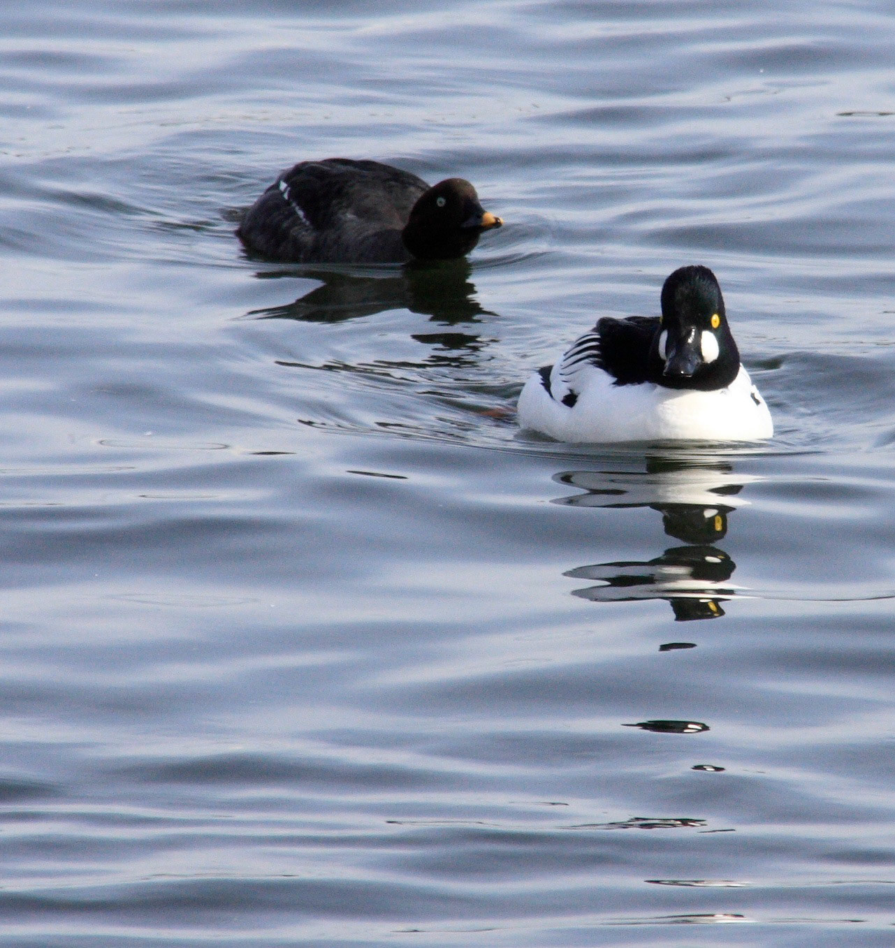 Hugganfield Loch Please see my other Photographs at: http://www.jamespdeans.co.uk/