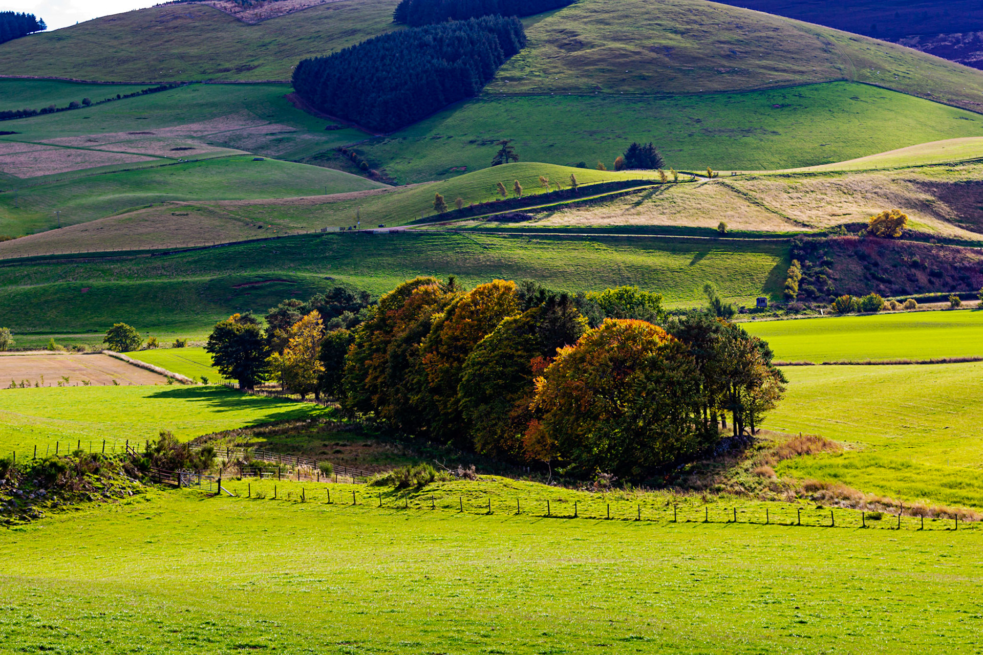Autumn in Aberdeenshire 14 to 16 October 2022