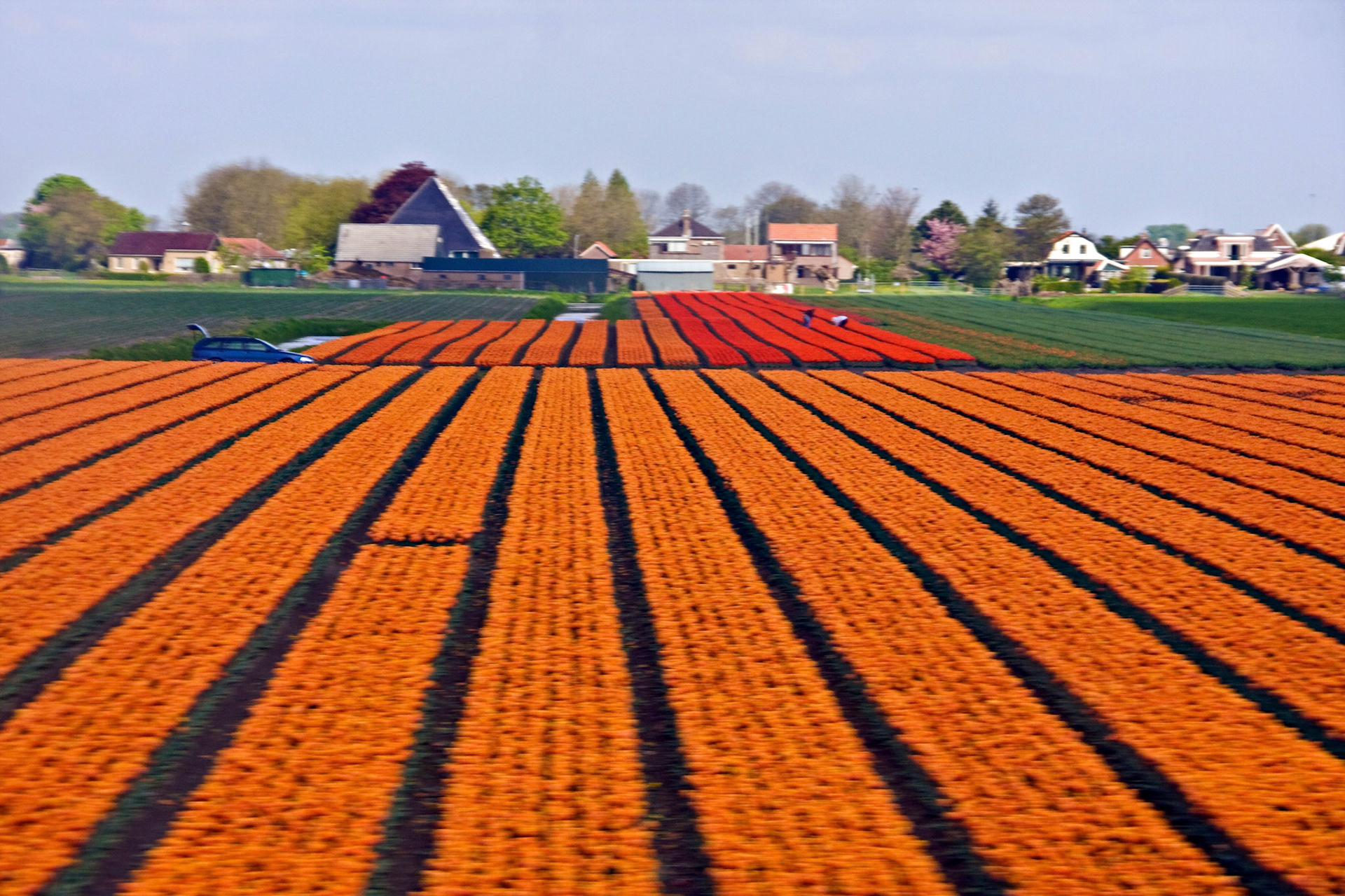 AmsterdamPlease see my other Photographs at: http://www.jamespdeans.co.uk/