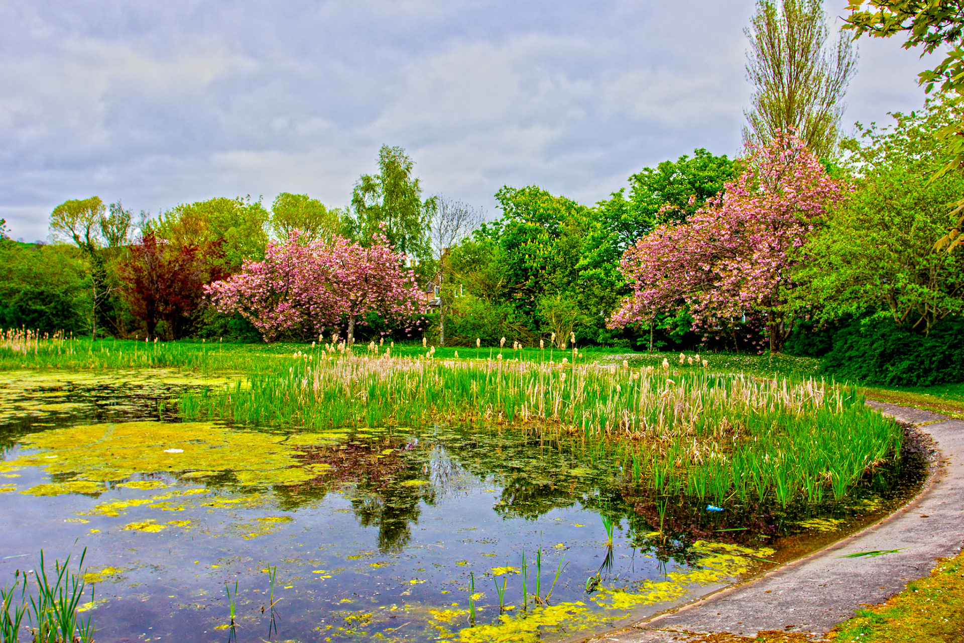 Dingwall - Peffery Canal &amp; Harbour 06 May 2024