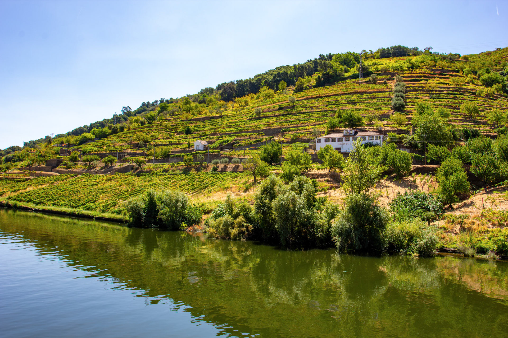 Douro cruise 21 August 2026