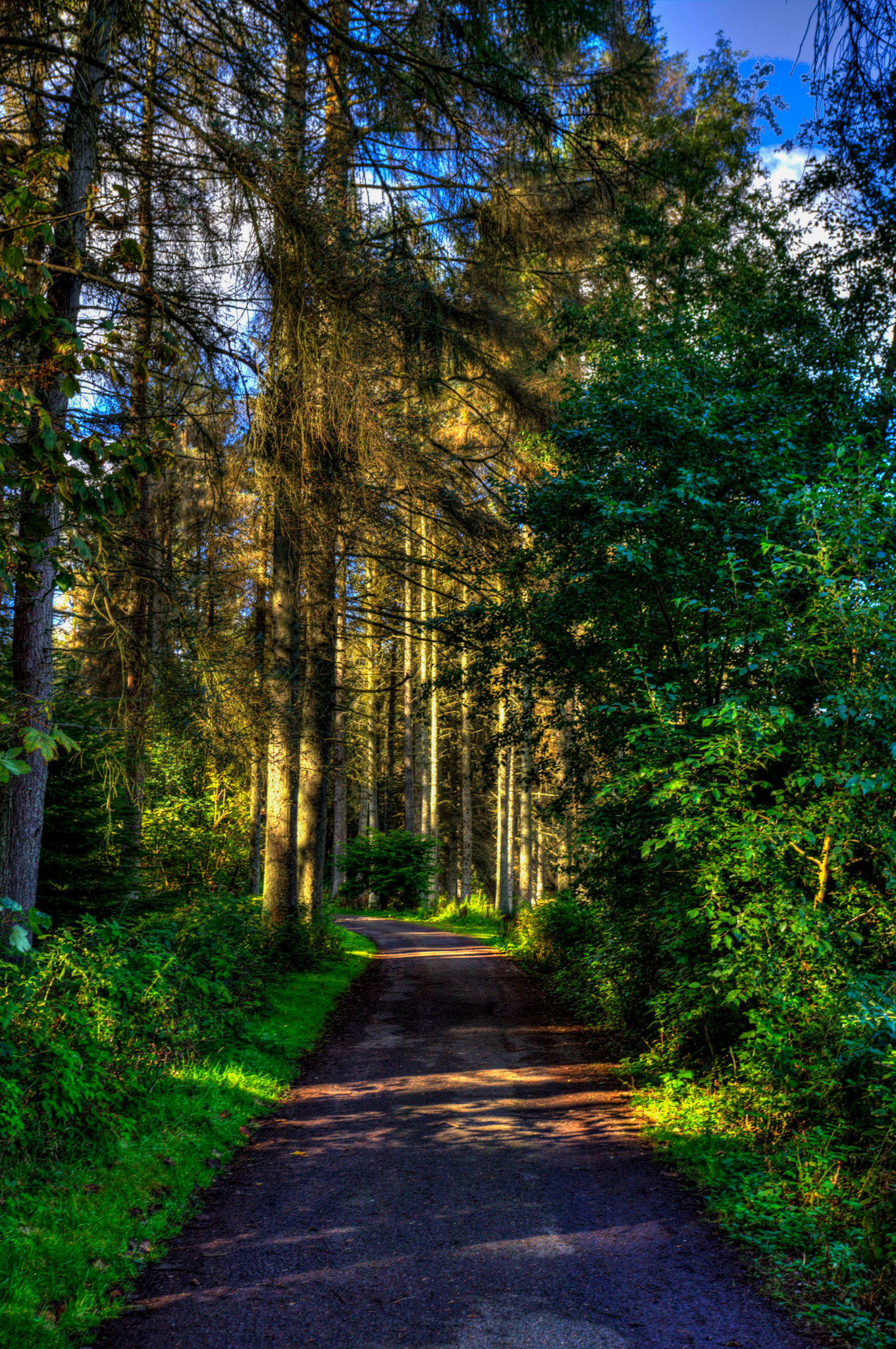 Beecraigs 24 Sept 2025