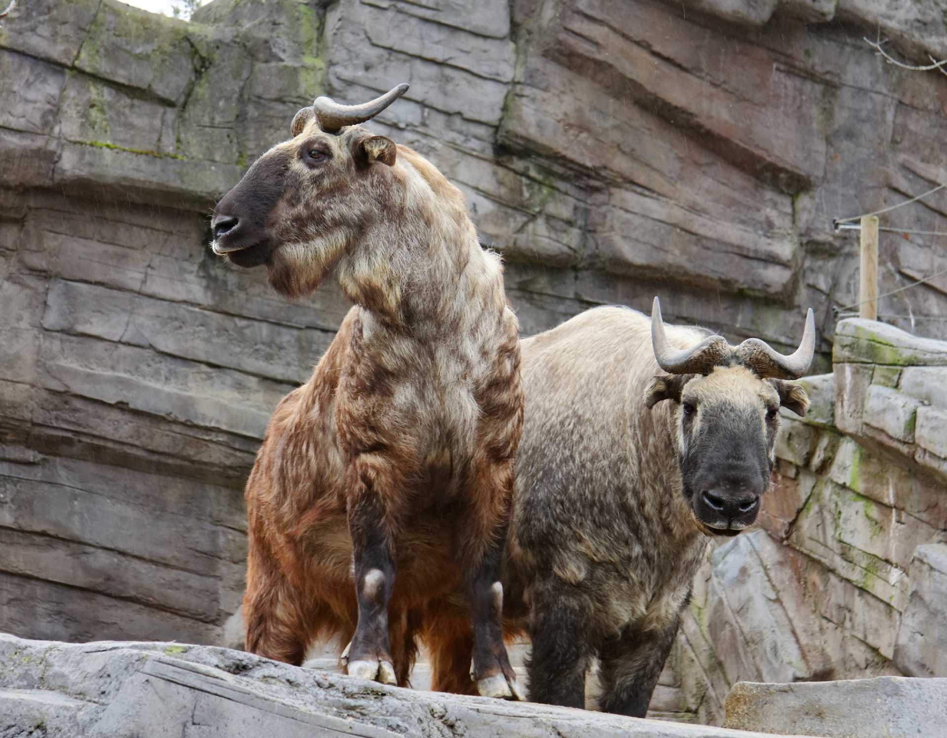 AntwerpPlease see my other Photographs at: http://www.jamespdeans.co.uk/