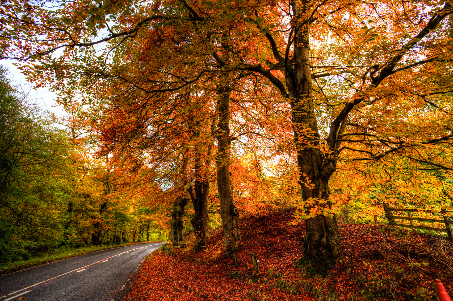Glenfarg. Autumnal Tour around Perthshire 19 October 2024