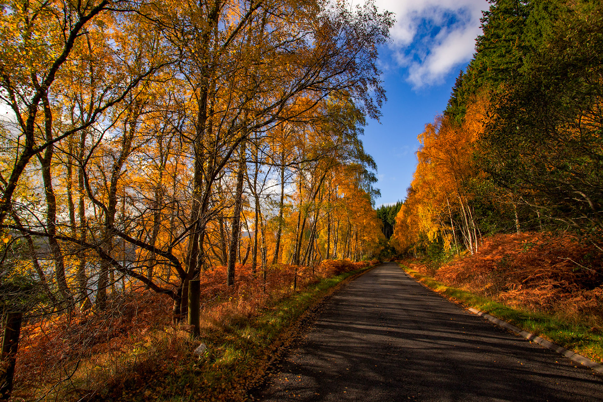 Loch Tummel. Autumnal Tour around Perthshire 19 October 2024