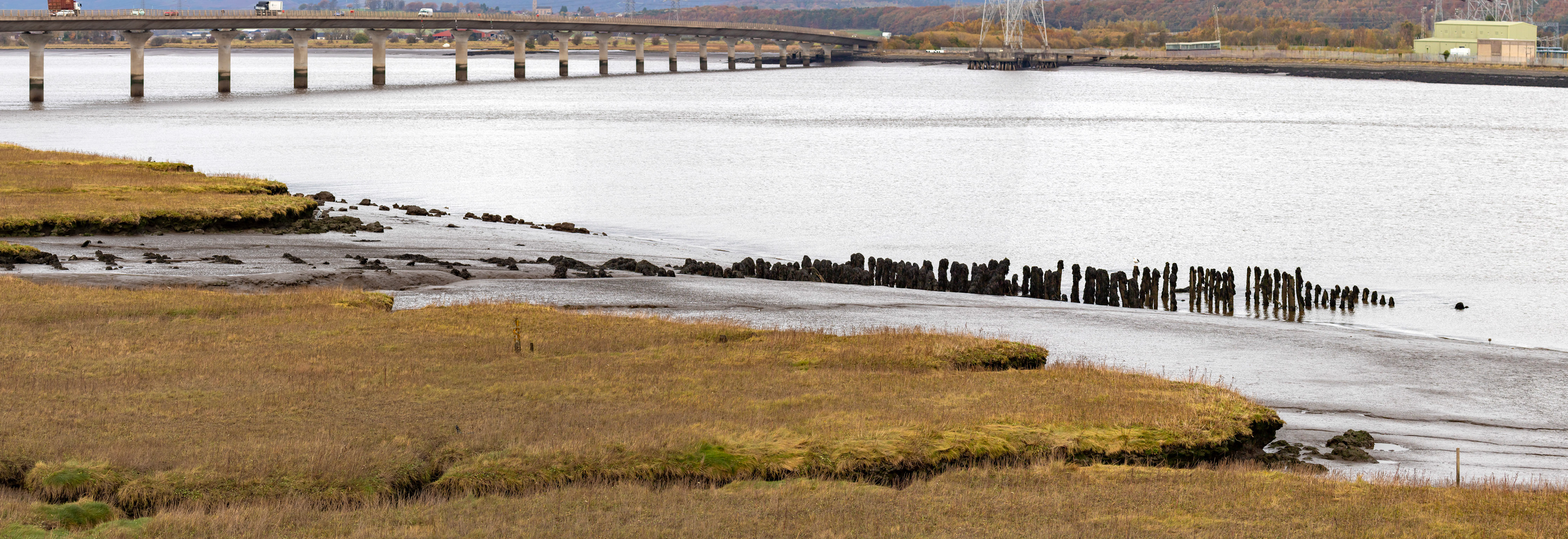 Higgins Neuk 23 Oct 2024Archaeology NotesNS98NW 312.01 92229 87138See also under Higginsneuk landing-place (NS98NW 344).(Location cited as NS 921 870). Higginsneuk, Stirlingshire. The landing [NS98NW 344] at Higginsneuk, the Stirlingshire terminal of Kincardine Ferry, is situated about 200yds [183m] upstream from Kincardine Bridge [NS98NW 59]. The 'Ferry of Airth' mentioned in 1565 may or may not have been located here, but in later times the crossing was much used by drovers making for Falkirk Tryst, and today the most conspicuous feature of the place is the walled drove-road [NS98NW 312.00] that leads to the ferry from the highway at the Keith Arms Inn [NS98NW 345]. This is 40ft [12.2m] wide, unmetalled, and may be matched in many places where droves had to traverse improved land. Between the end of the walling and the edge of the mud-flats, the course of the road is marked by kerbs and revetment; the jetty, which ran out across the mud to the deeper water, was of wood and has gone to ruin, but the piles on which it rested, set in rows transversely to its axis, may still be seen at low tide.On the NW side of the roadway, in its lowermost part, a recess has been dug in the mud-bank and revetted with timber, no doubt as a dock for a ferry-boat. On the SE side, there are the ruins of a timber-built sluice [NS98NW 312.02] set on a small watercourse, evidently designed to keep the landing clear of mud.A Graham 1969.Graham, A. (1971) 'Archaeological notes on some harbours in eastern Scotland', Proc Soc Antiq Scot, vol. 101, 1968-9. Page(s): 244 RCAHMS Shelf Number: J.6.4.GRA