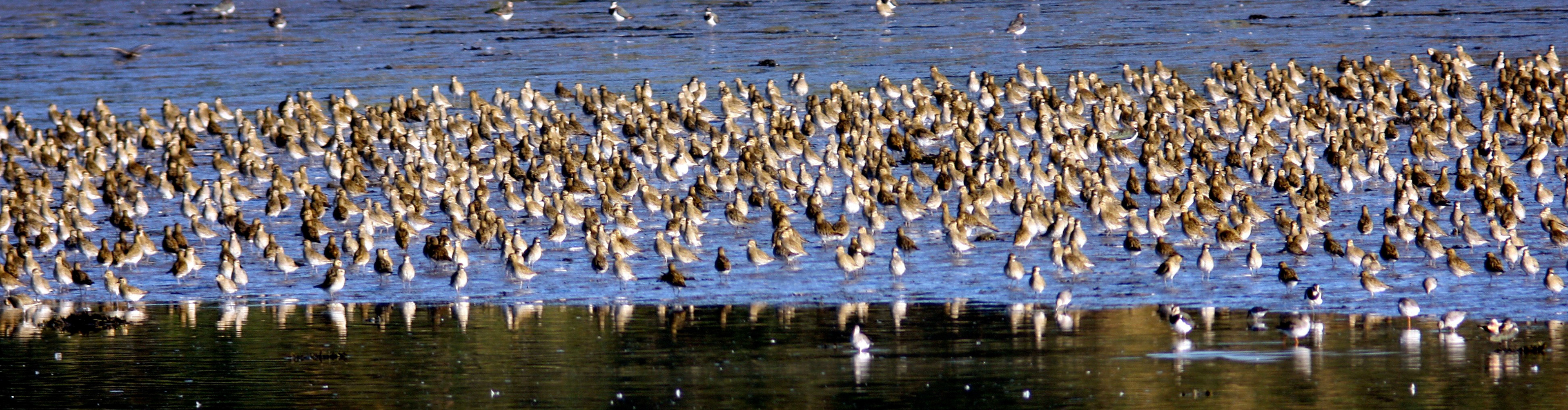 YthanPlease see my other Photographs at: http://www.jamespdeans.co.uk/