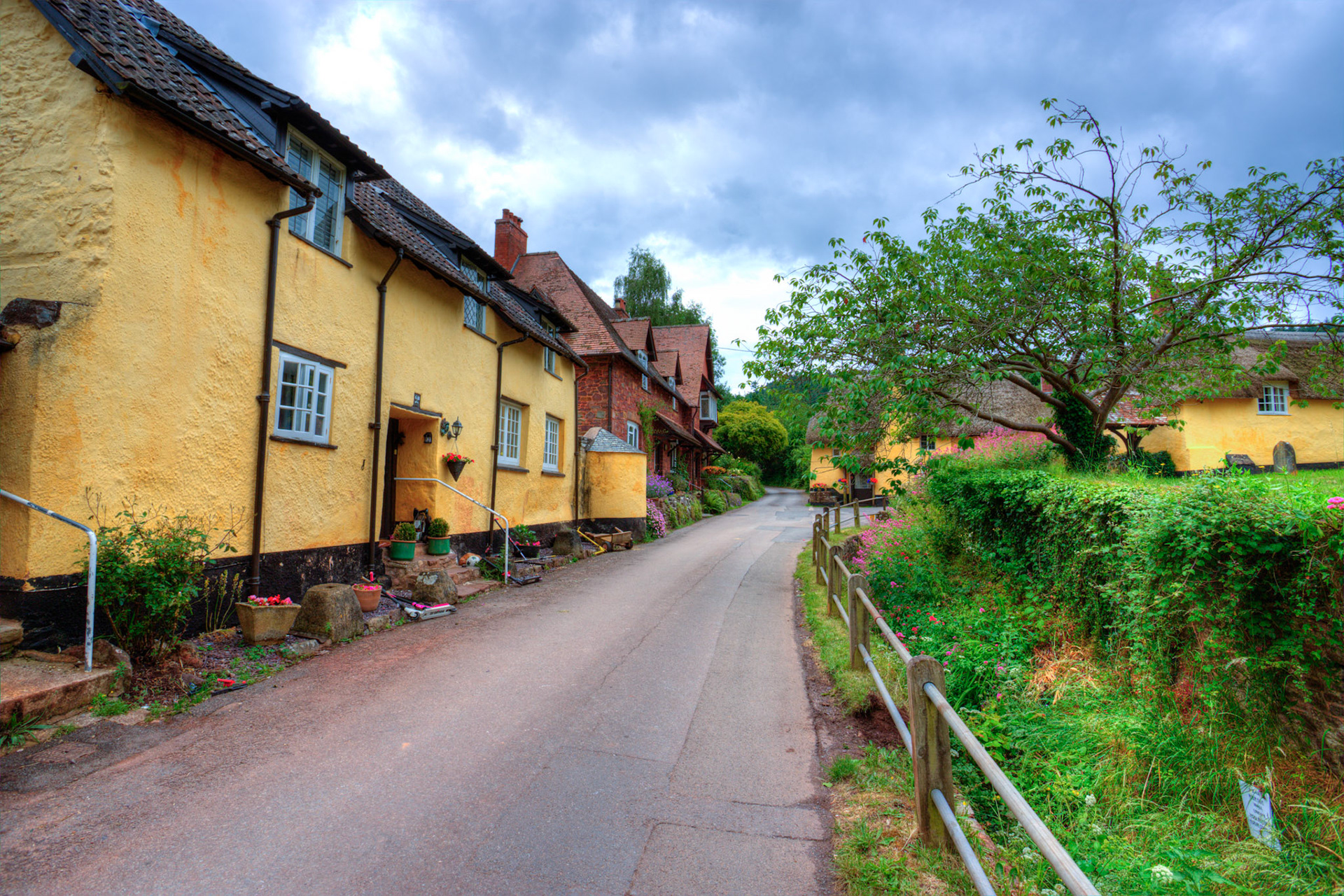 Luccombe 21 June 2023