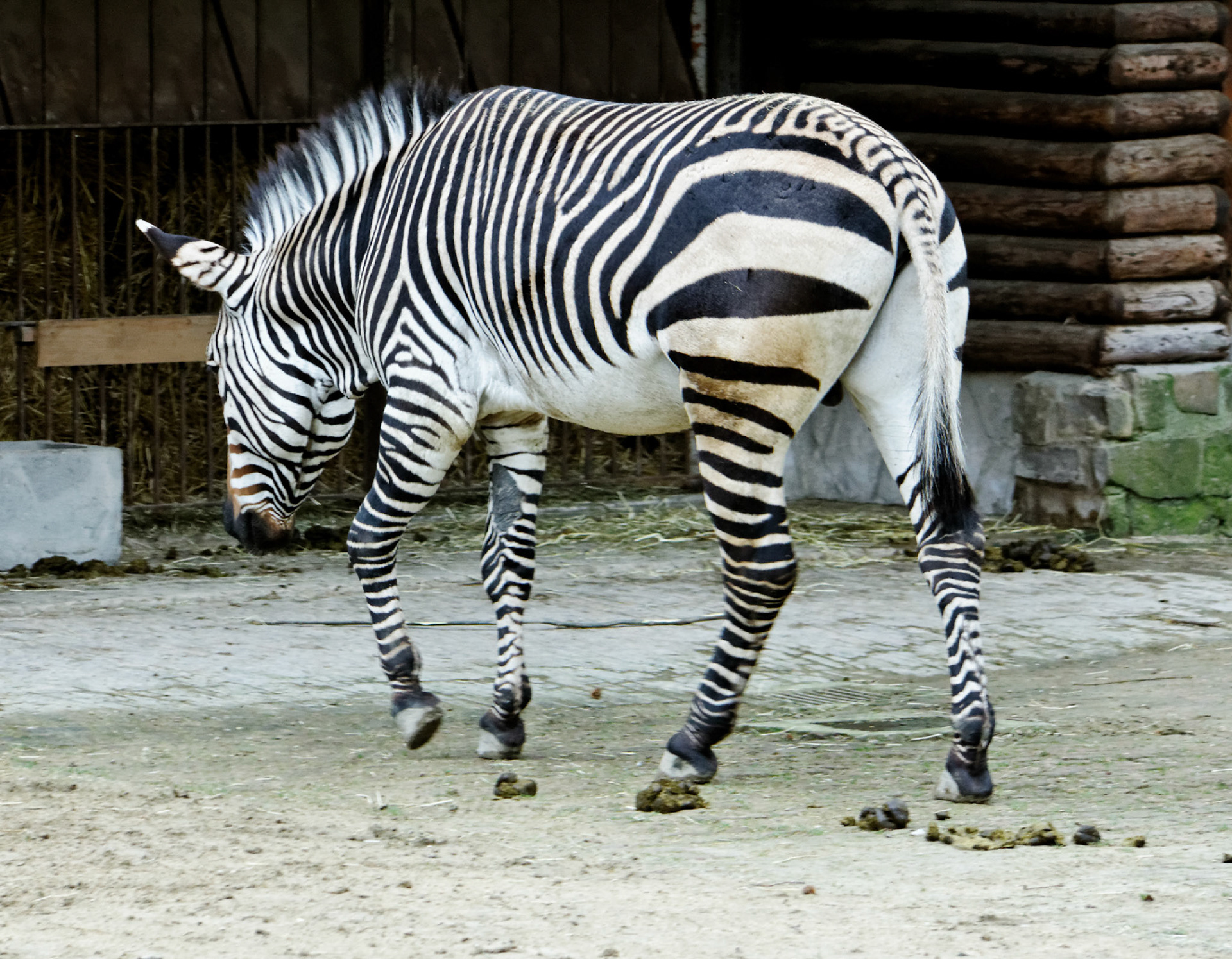 AntwerpPlease see my other Photographs at: http://www.jamespdeans.co.uk/