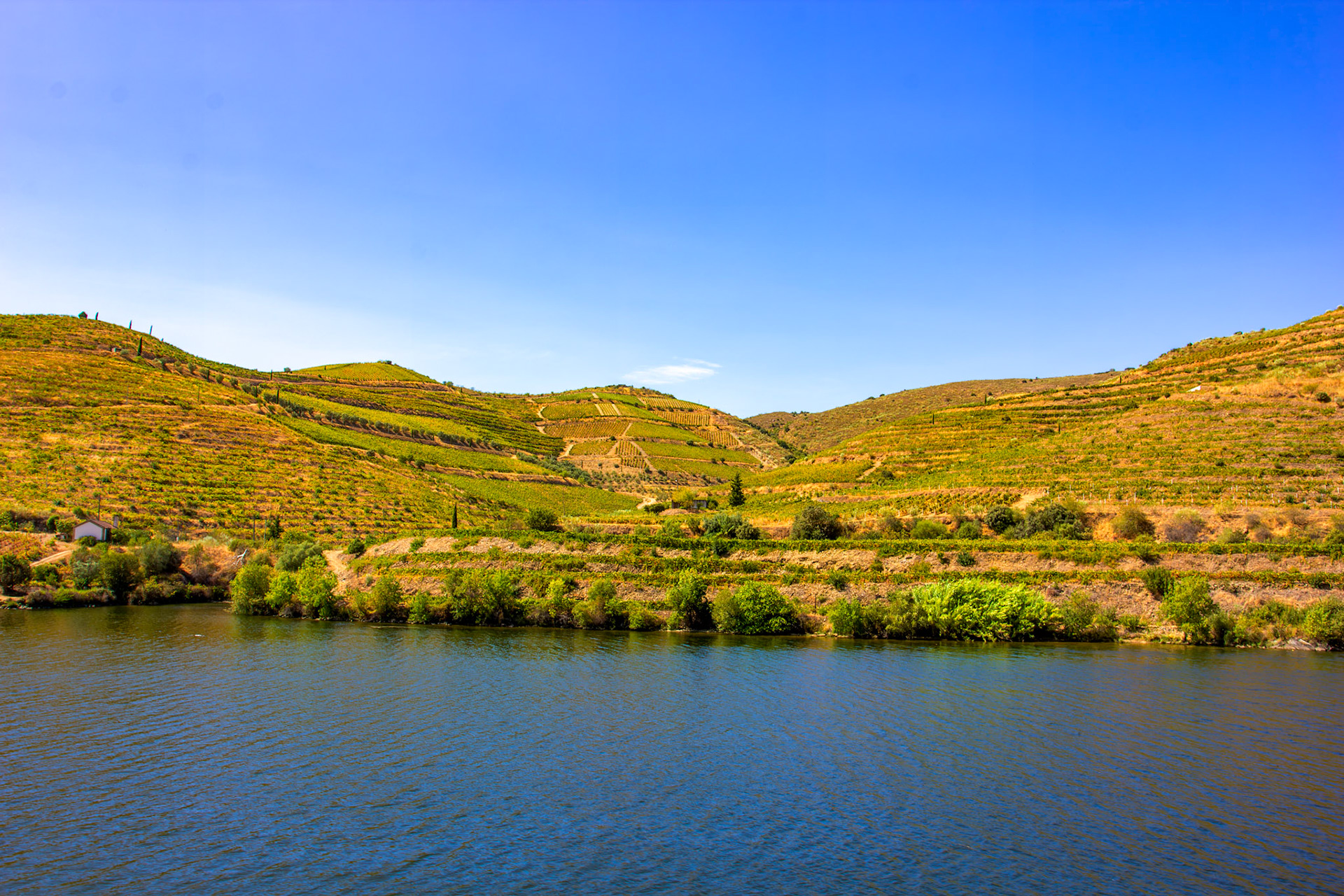 Douro cruise 22 August 2026