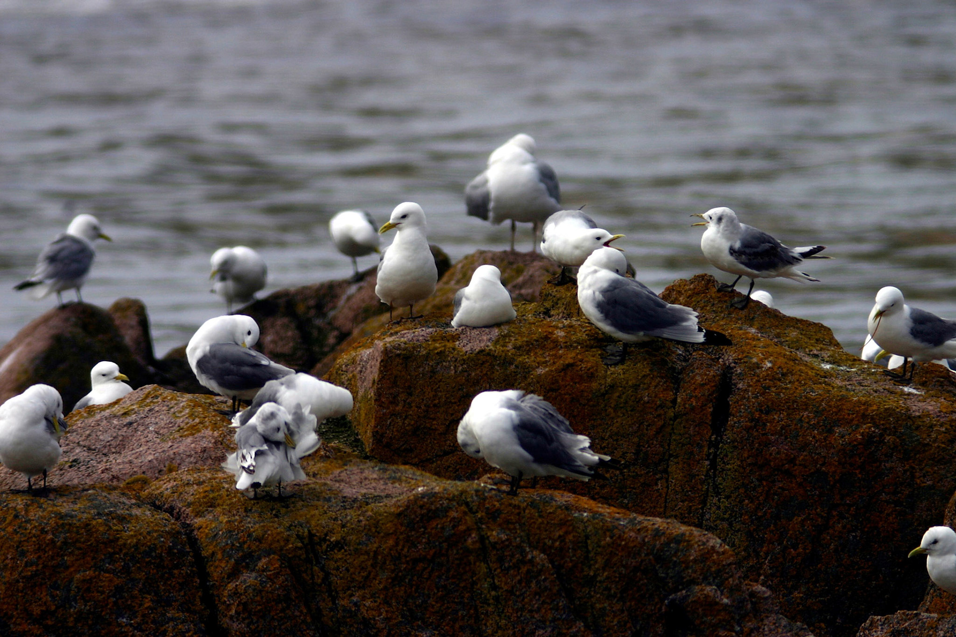Cruden BayPlease see my other Photographs at: http://www.jamespdeans.co.uk/