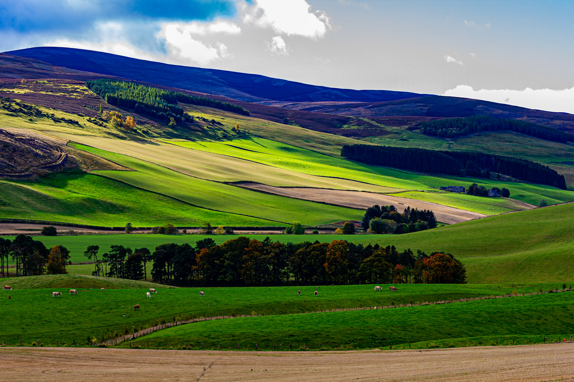 Autumn in Aberdeenshire 14 to 16 October 2022