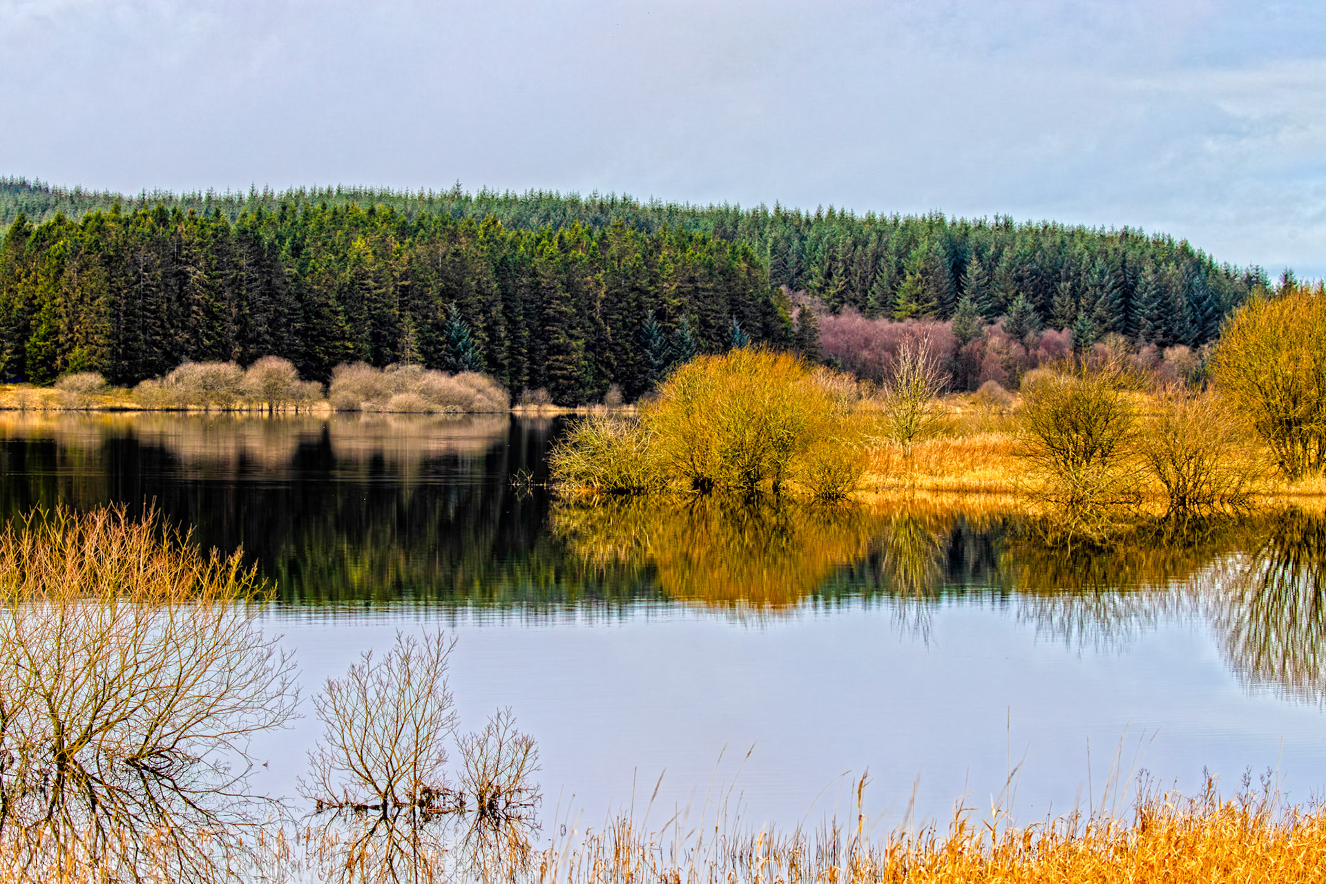 Carron Valley Reservoir 28 February 2026