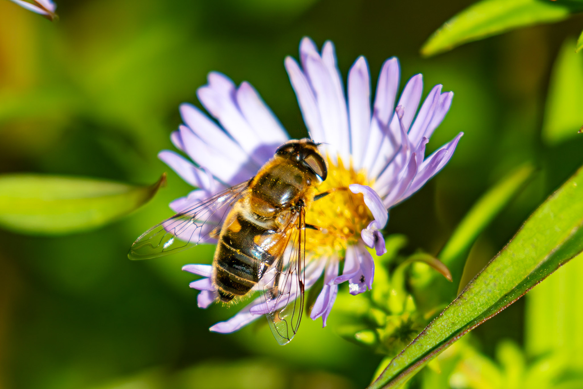 The Knock 12 Sept 2024