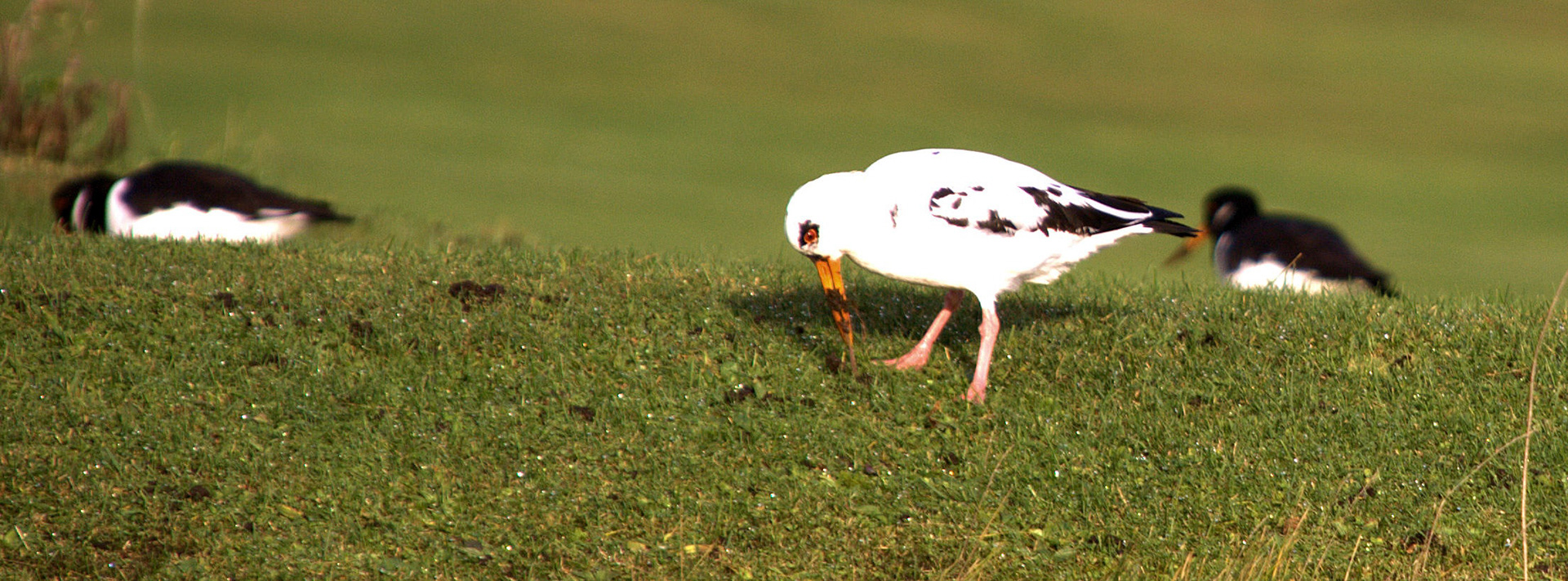 Aberdeen Please see my other Photographs at: http://www.jamespdeans.co.uk/