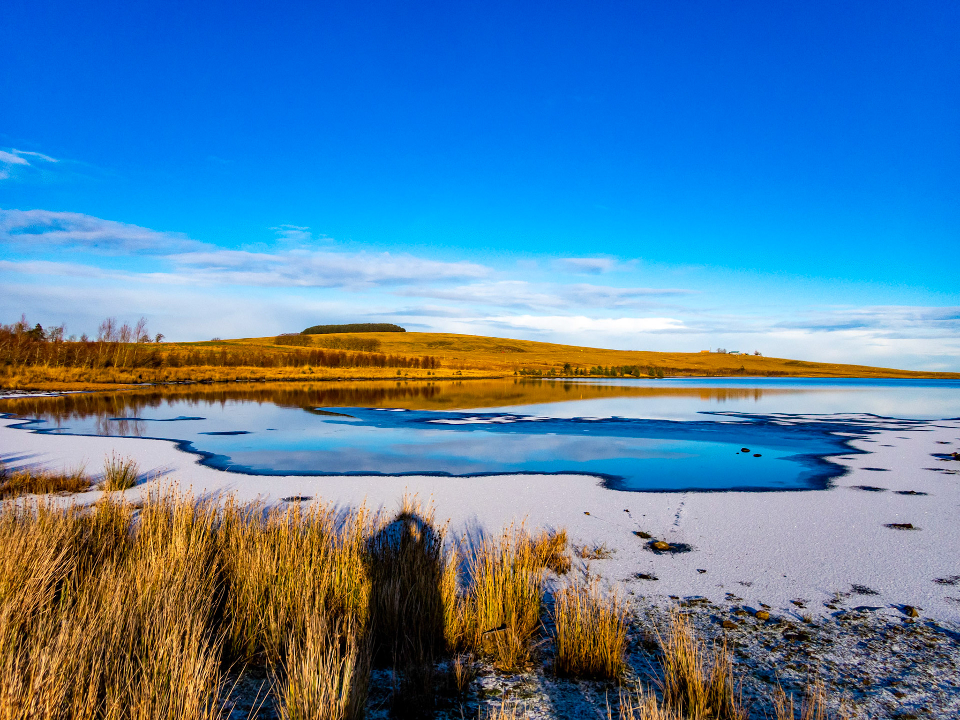Swim at Harperrig 08 December 2022