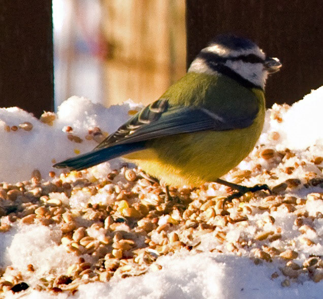 Deans, LivingstonPlease see my other Photographs at: http://www.jamespdeans.co.uk/